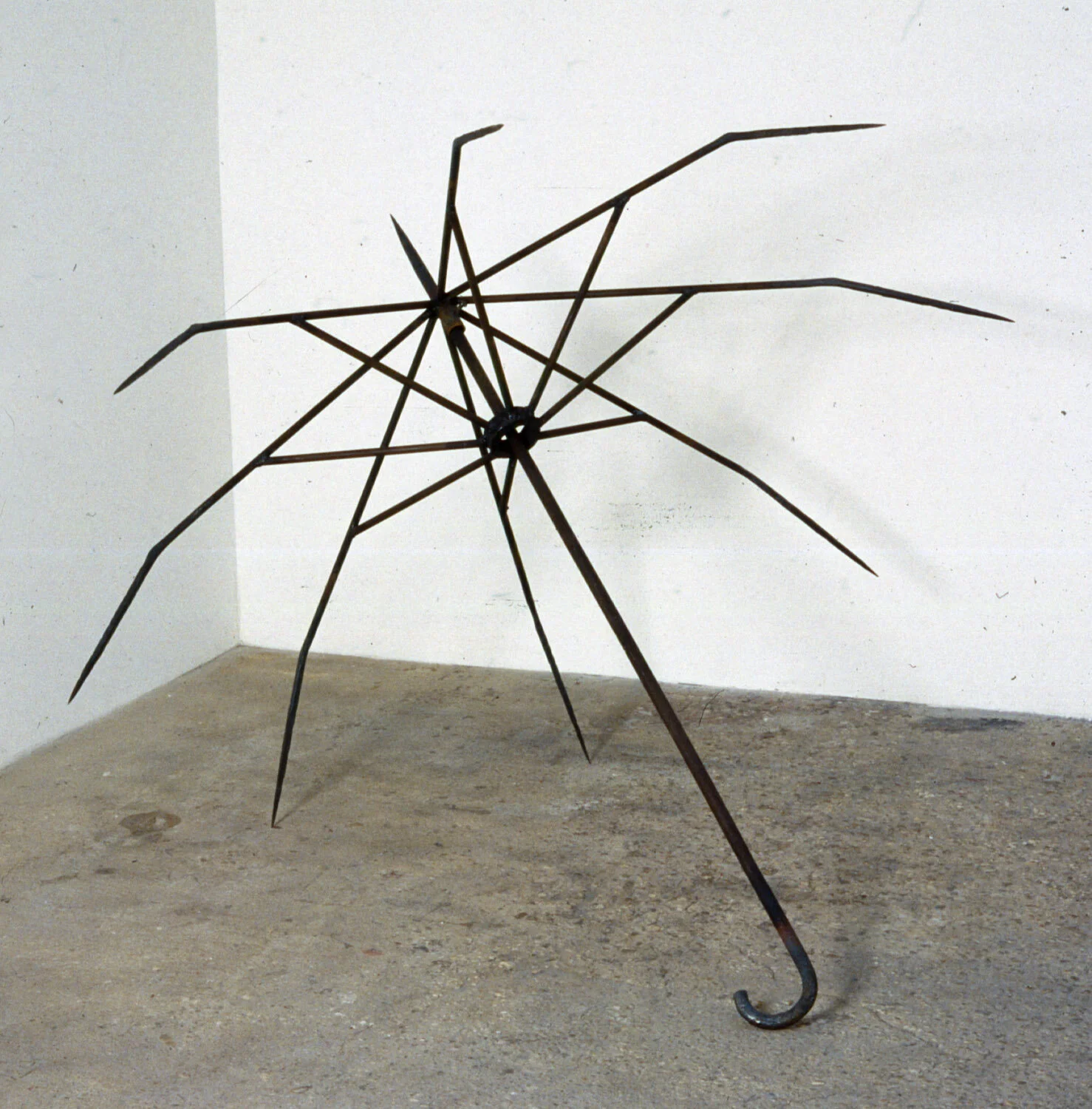 penumbra cropped (1 of 1).jpg