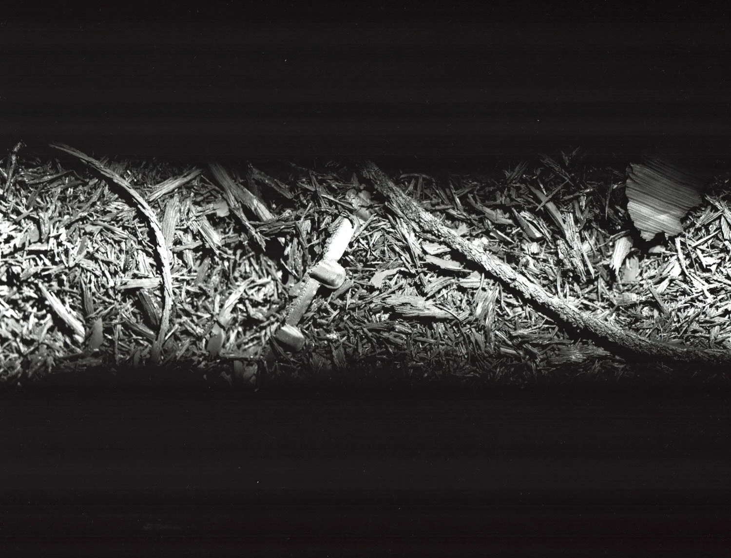 oil zait (1 of 1).jpg