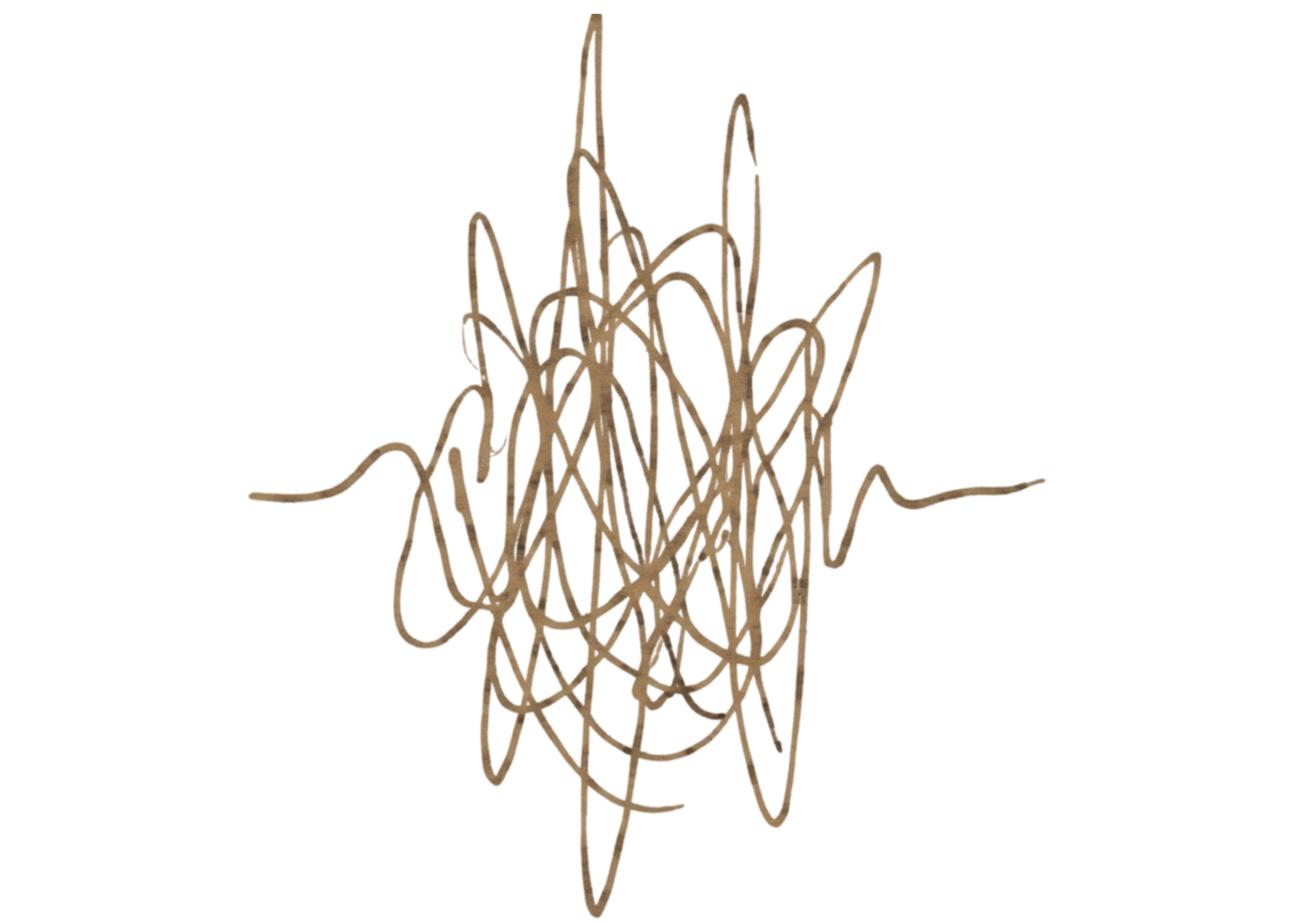 A line drawing of a cactus with multiple arms, filled with scribbled, overlapping lines, on a black background.