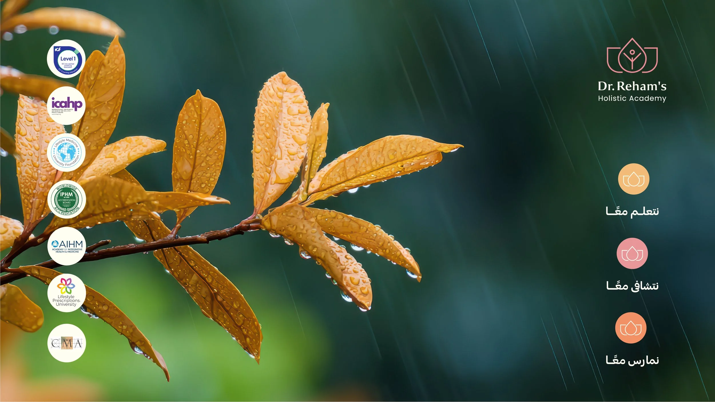 Zoom Background - Rain.jpg