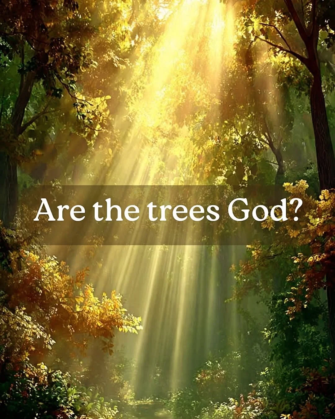 I&rsquo;m often asked whether the trees are God to me. Am I praying to them as if they are God? Or are they simply an expression of God? It&rsquo;s an important question to me and one that warrants a clear answer.

I grew up in the church and my firs