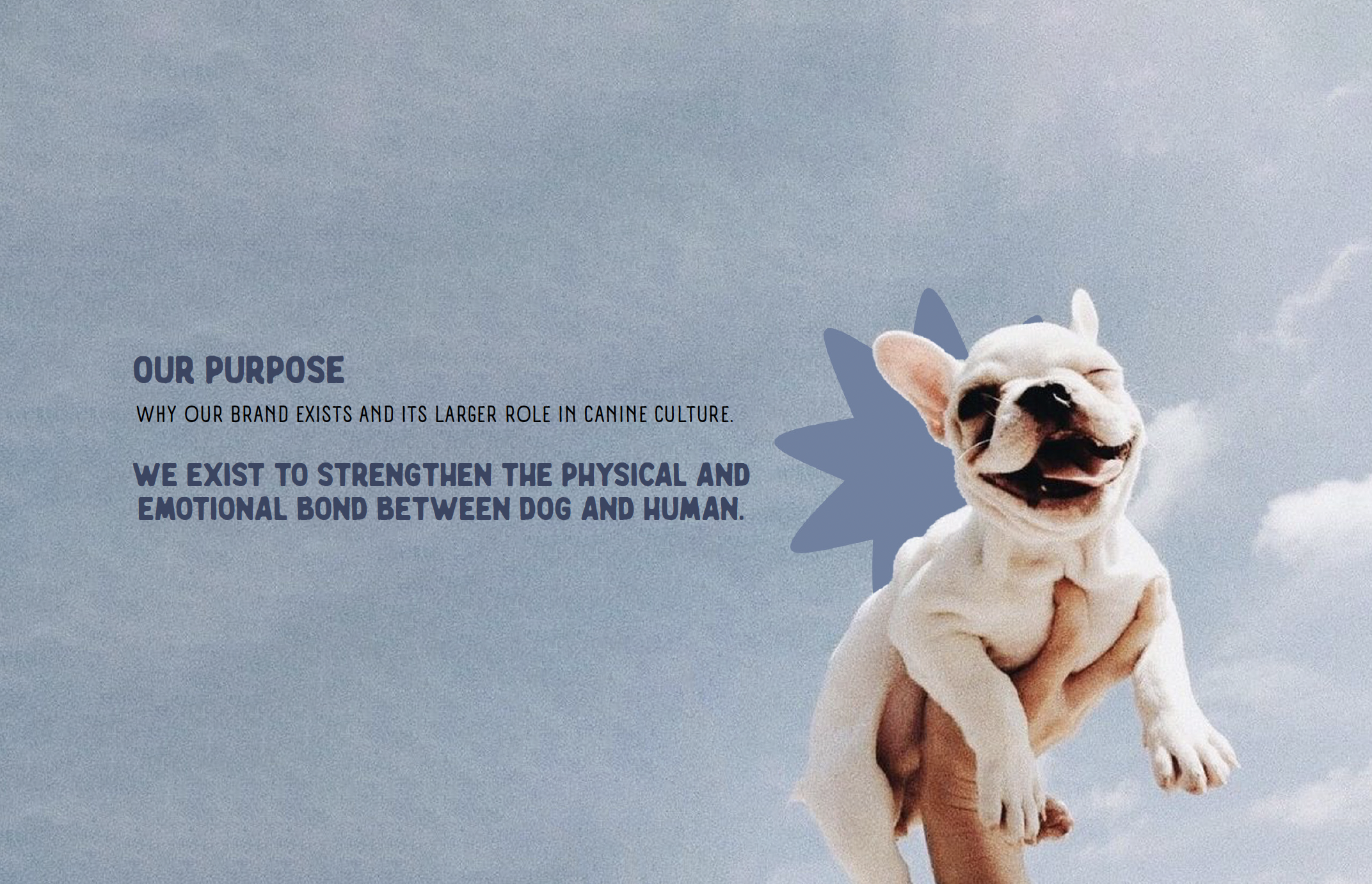 Gentle Wuff brand purpose presentation featuring lifestyle dog photography and messaging about the brand's role in canine culture.