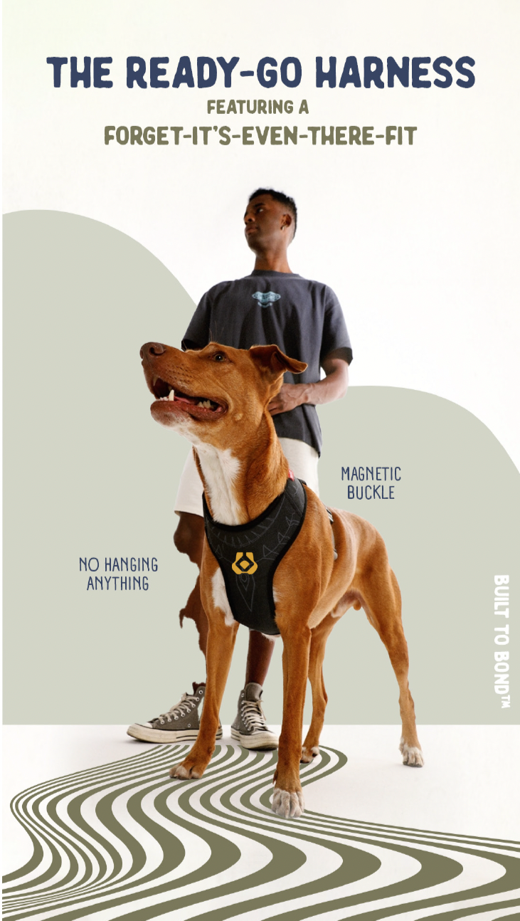 Gentle Wuff Ready-Go Harness digital campaign featuring product benefits, branded typography, and lifestyle imagery.
