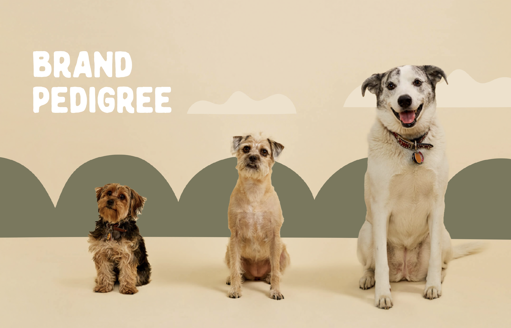 Gentle Wuff pet brand strategy presentation featuring dog photography, custom typography and a warm neutral visual identity.