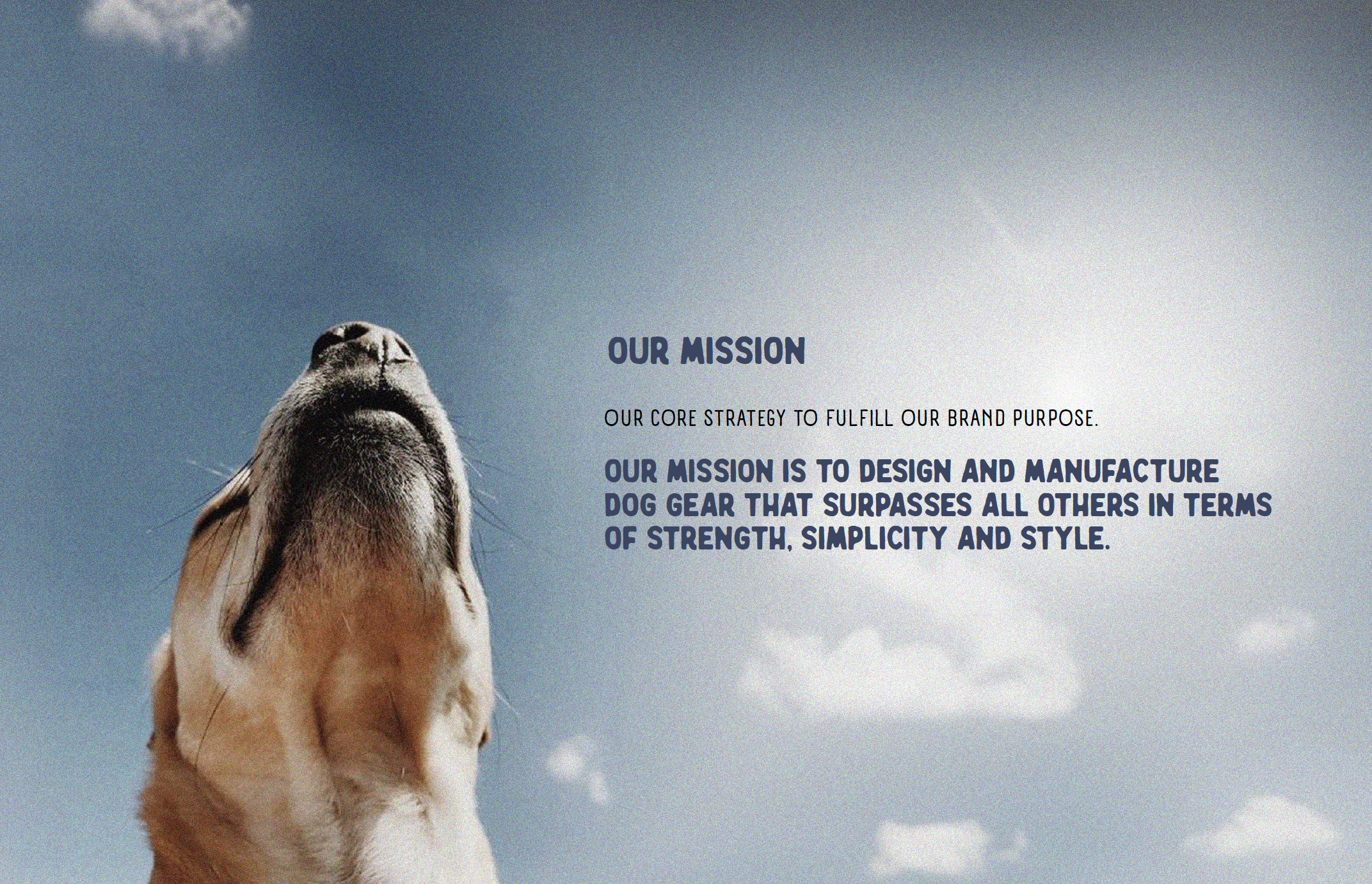 Gentle Wuff brand campaign featuring lifestyle dog photography and messaging about strengthening the bond between dogs and their owners.