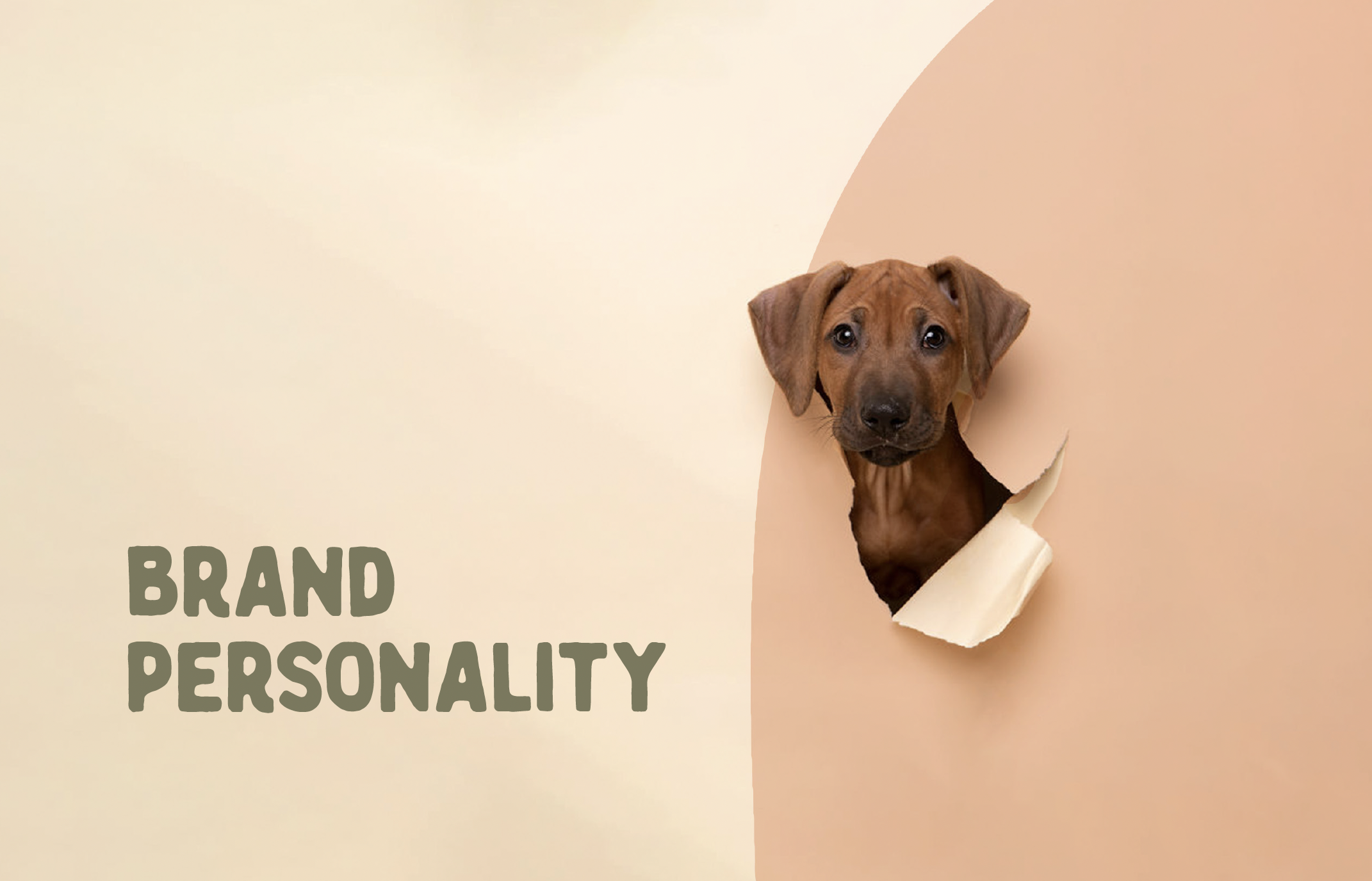 Gentle Wuff brand strategy presentation featuring lifestyle photography of a woman and dog with custom illustrations and a warm neutral color palette.