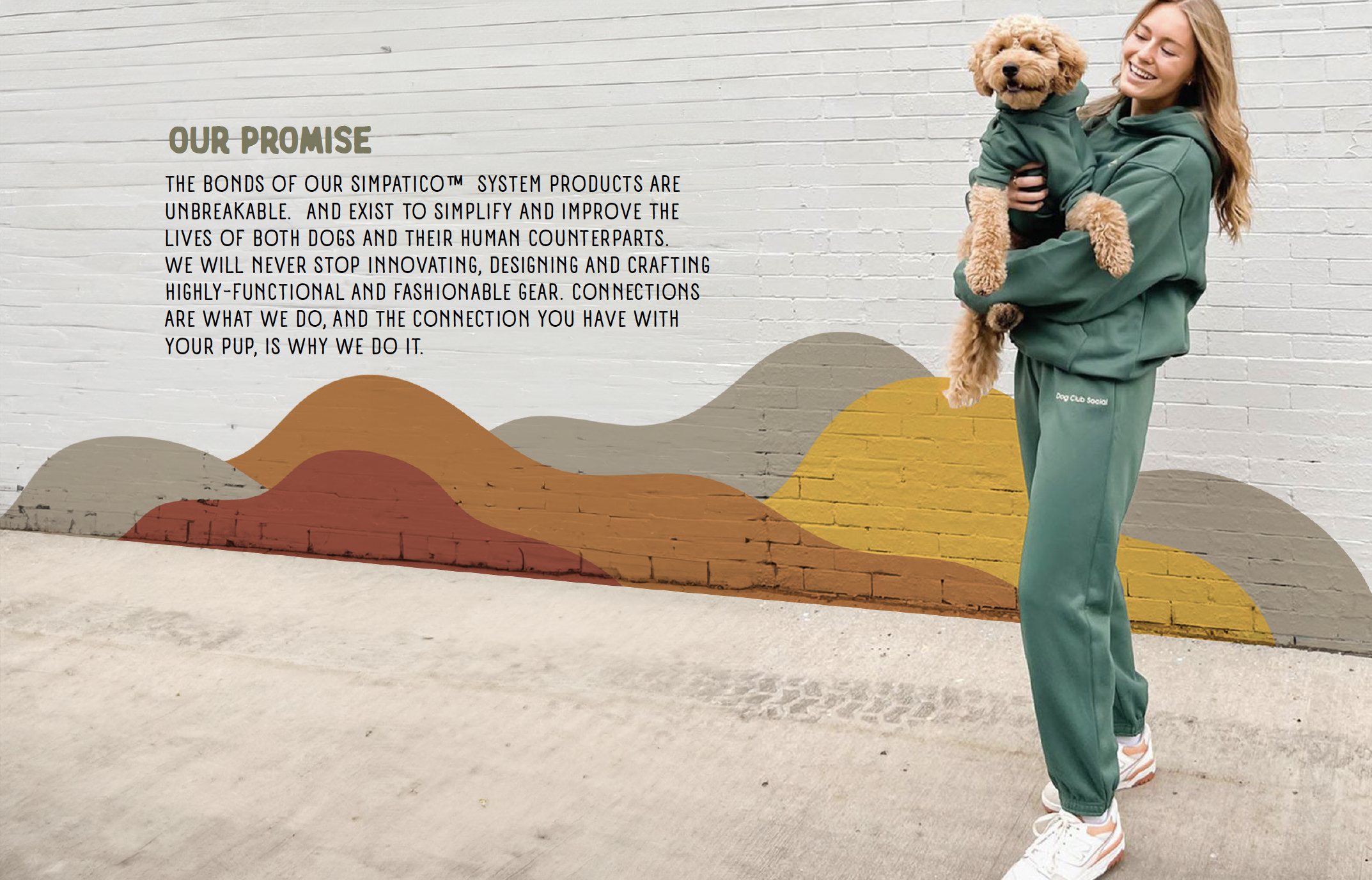 Gentle Wuff pet product strategy featuring a dog harness, product illustration and the Simpatico modular pet gear system.