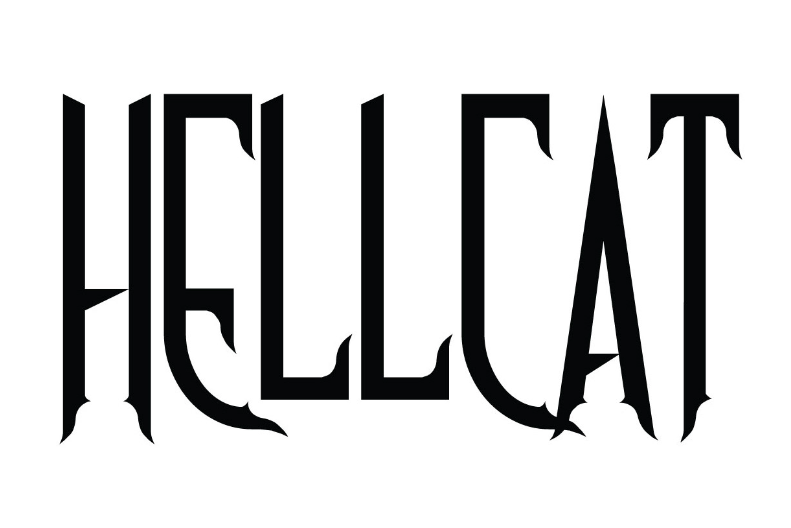 Animal Graphic Translation