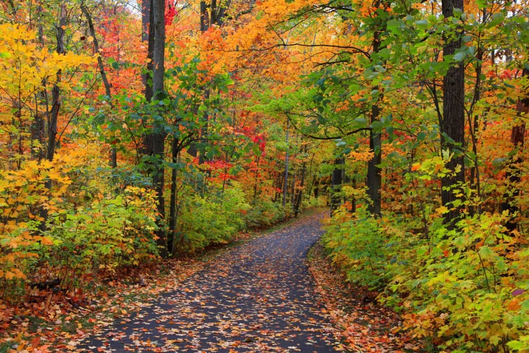 Neighbor Walk at Baird Creek Parkway