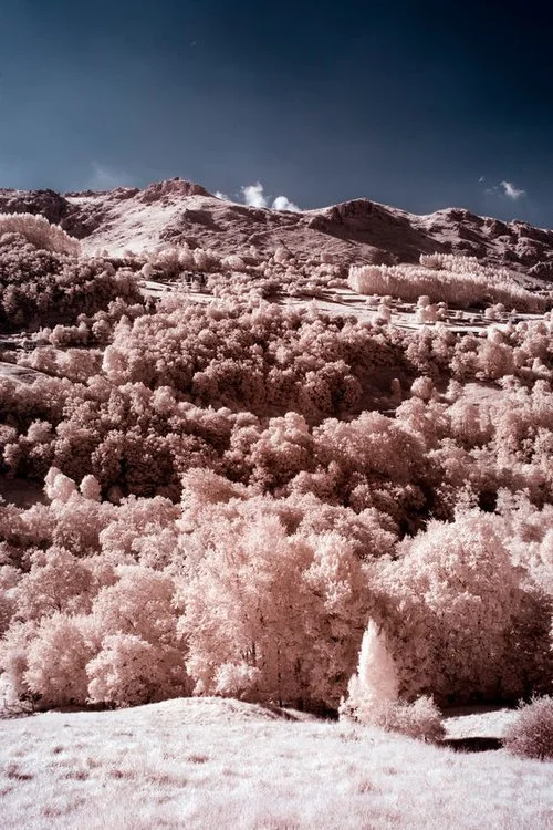 It’s Time To End The Stigma: The Global Issues Surrounding Menustration