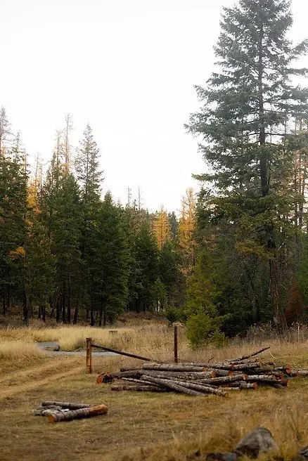 How To Uplift The Voice of Young Climate Change Activists of Color