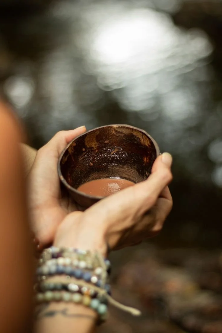 Womb Herbalism: Knowing the Womb, Knowing the Land