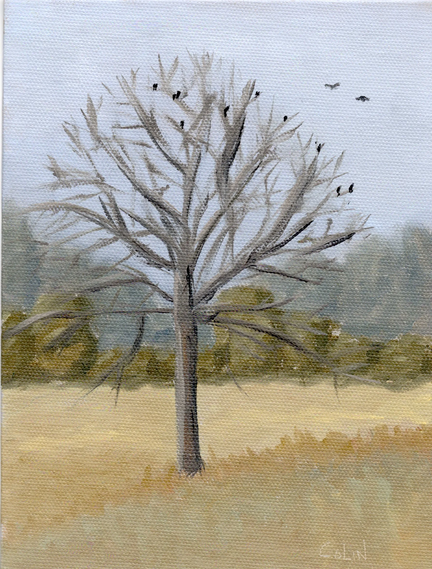 Plein Air Water Oak