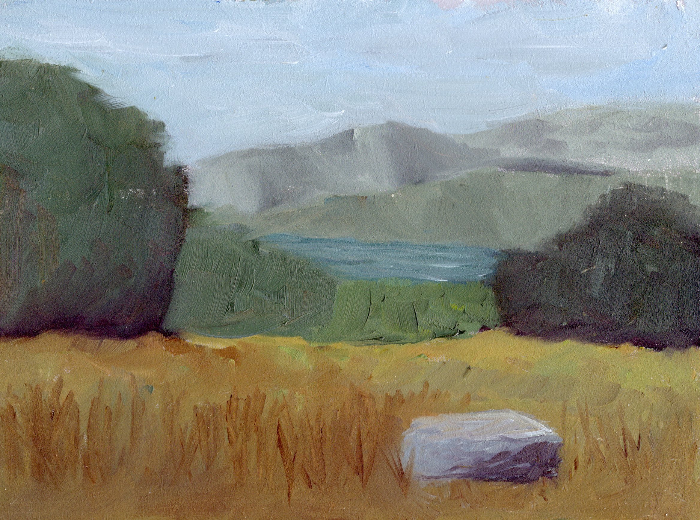 My Land Overlooking Loch Loyne