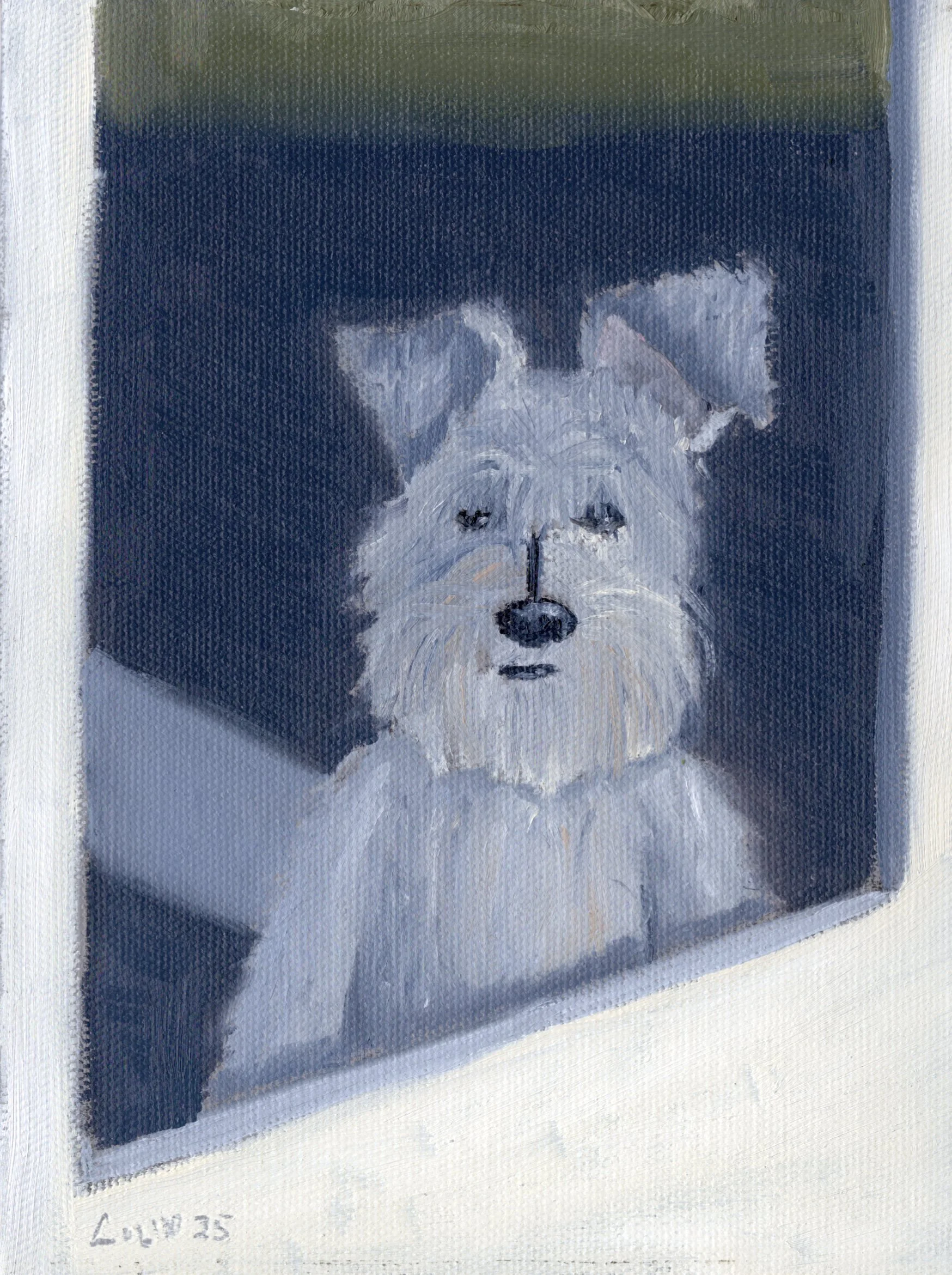 Ollie
05/27/11 - 11/29/25