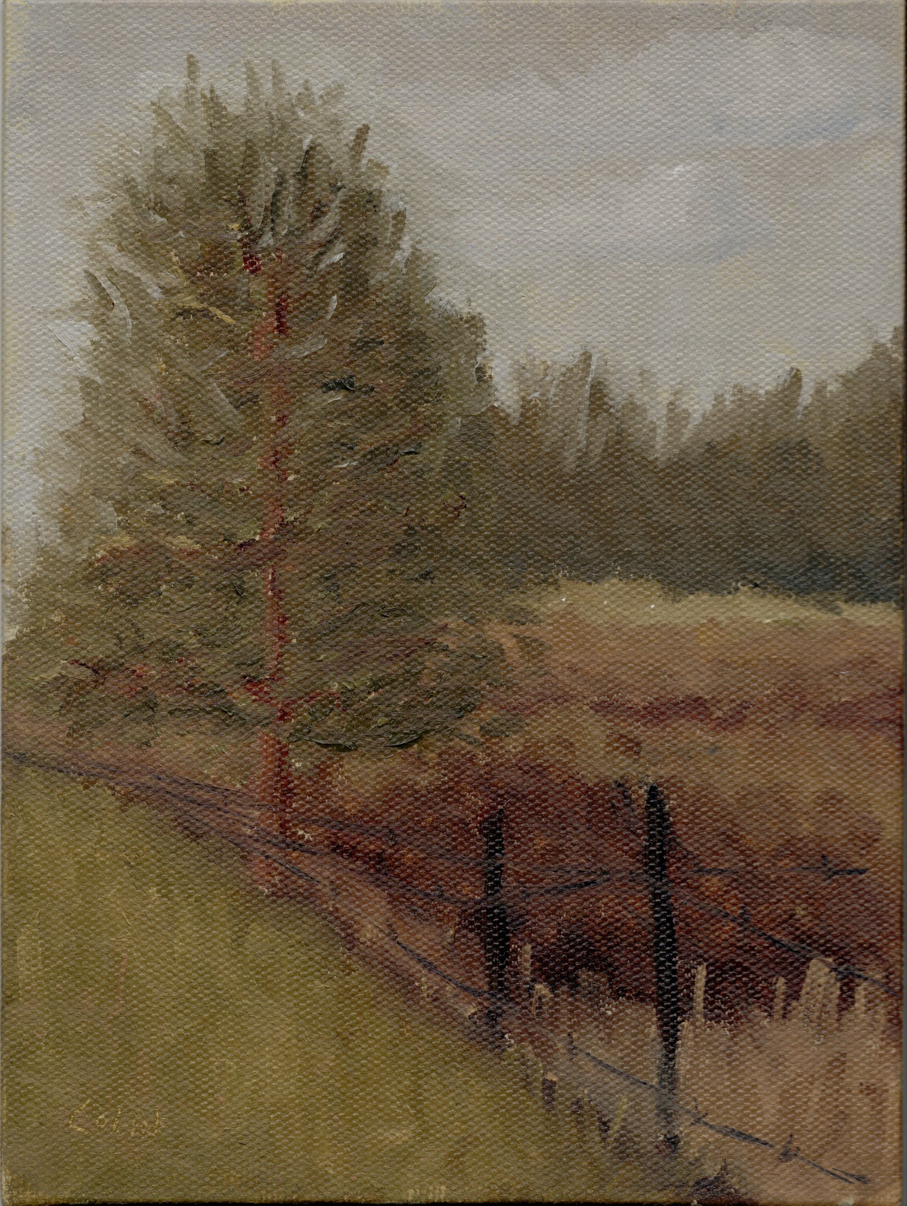 Plein Air - Twisted Fence