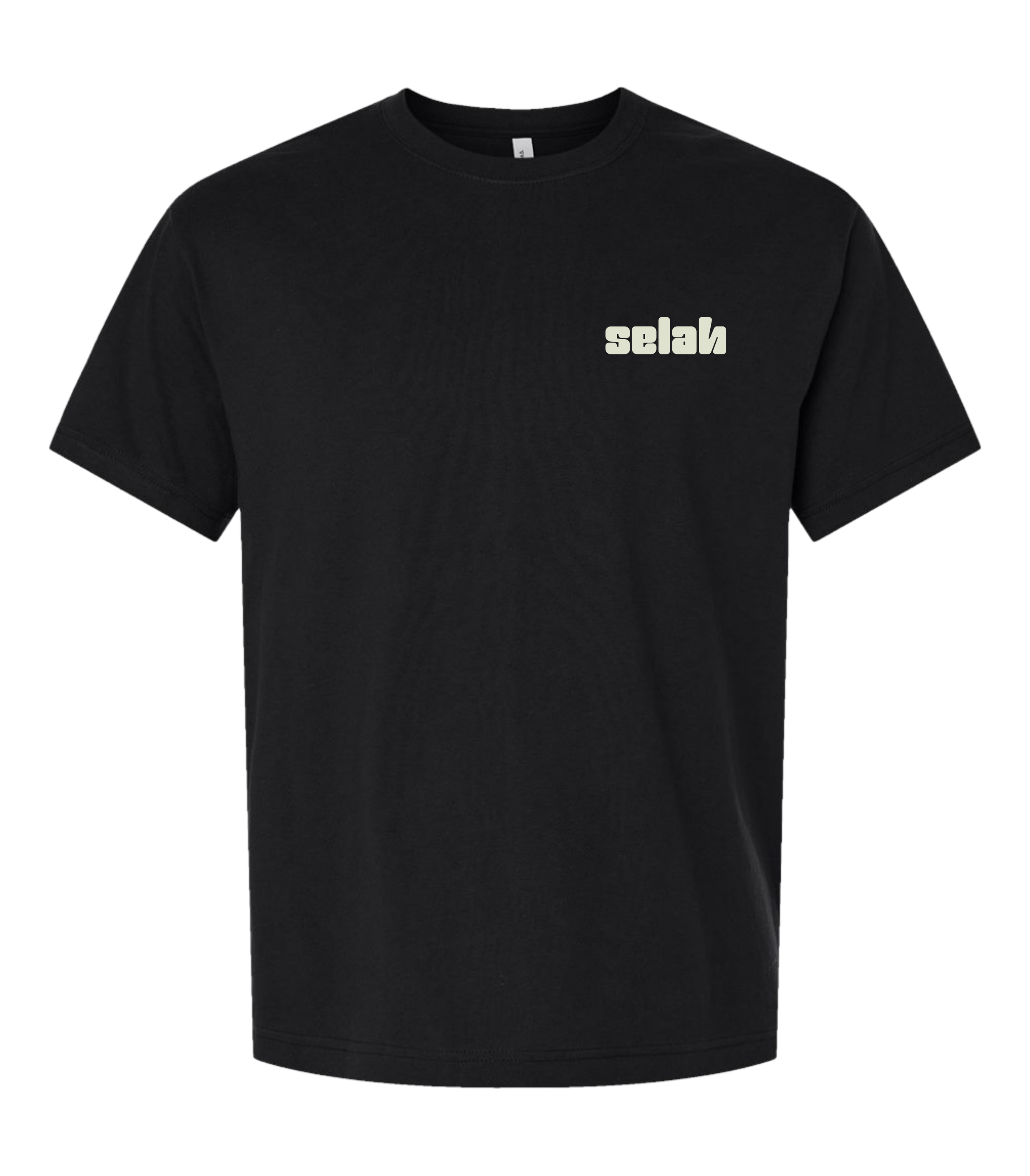 Untitled Project - Standard 17 (5).png