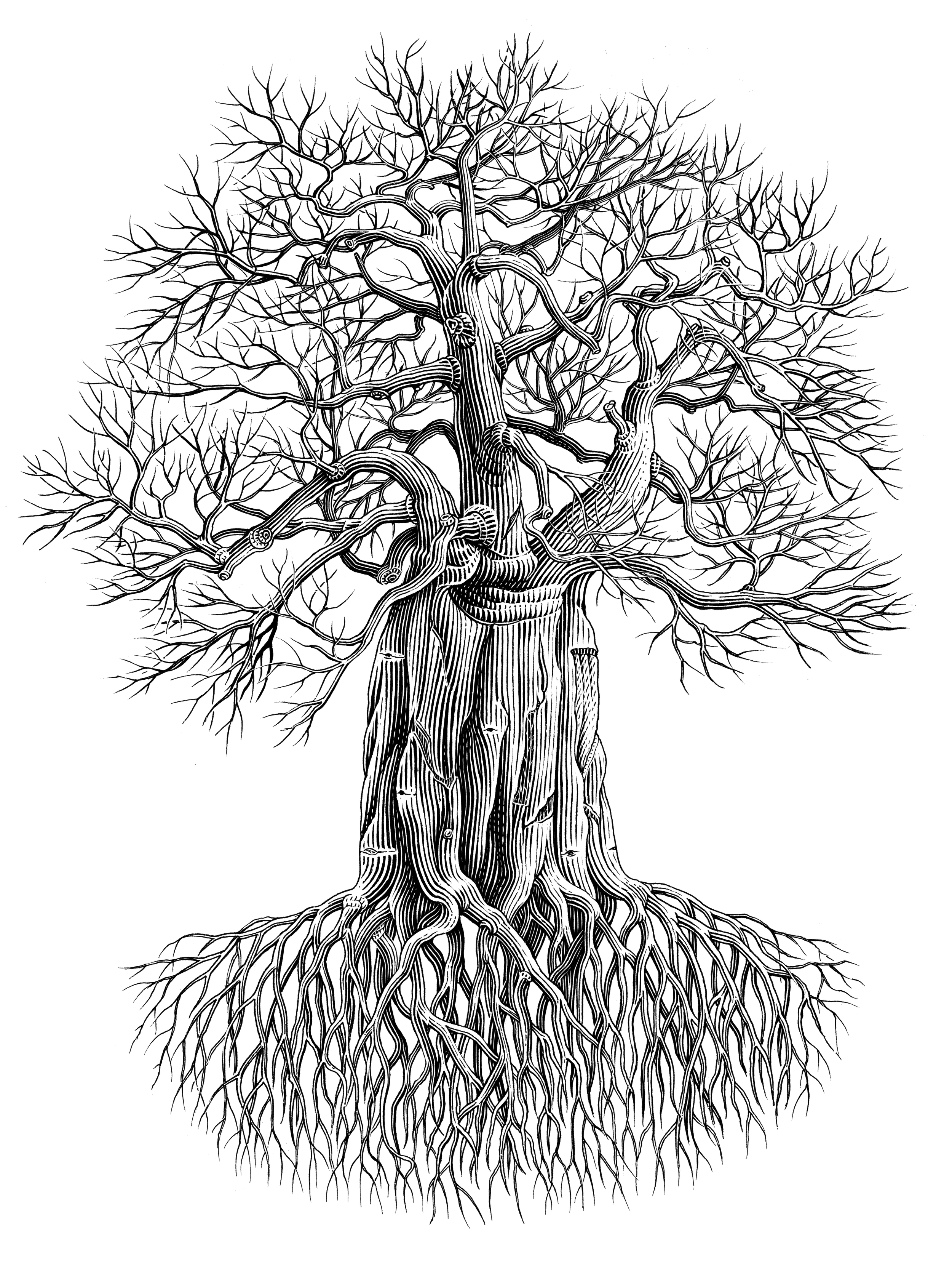 A baobab tree, representing the signature Tree of Life Reiki offering, focusing on grounding and ancestral wisdom.