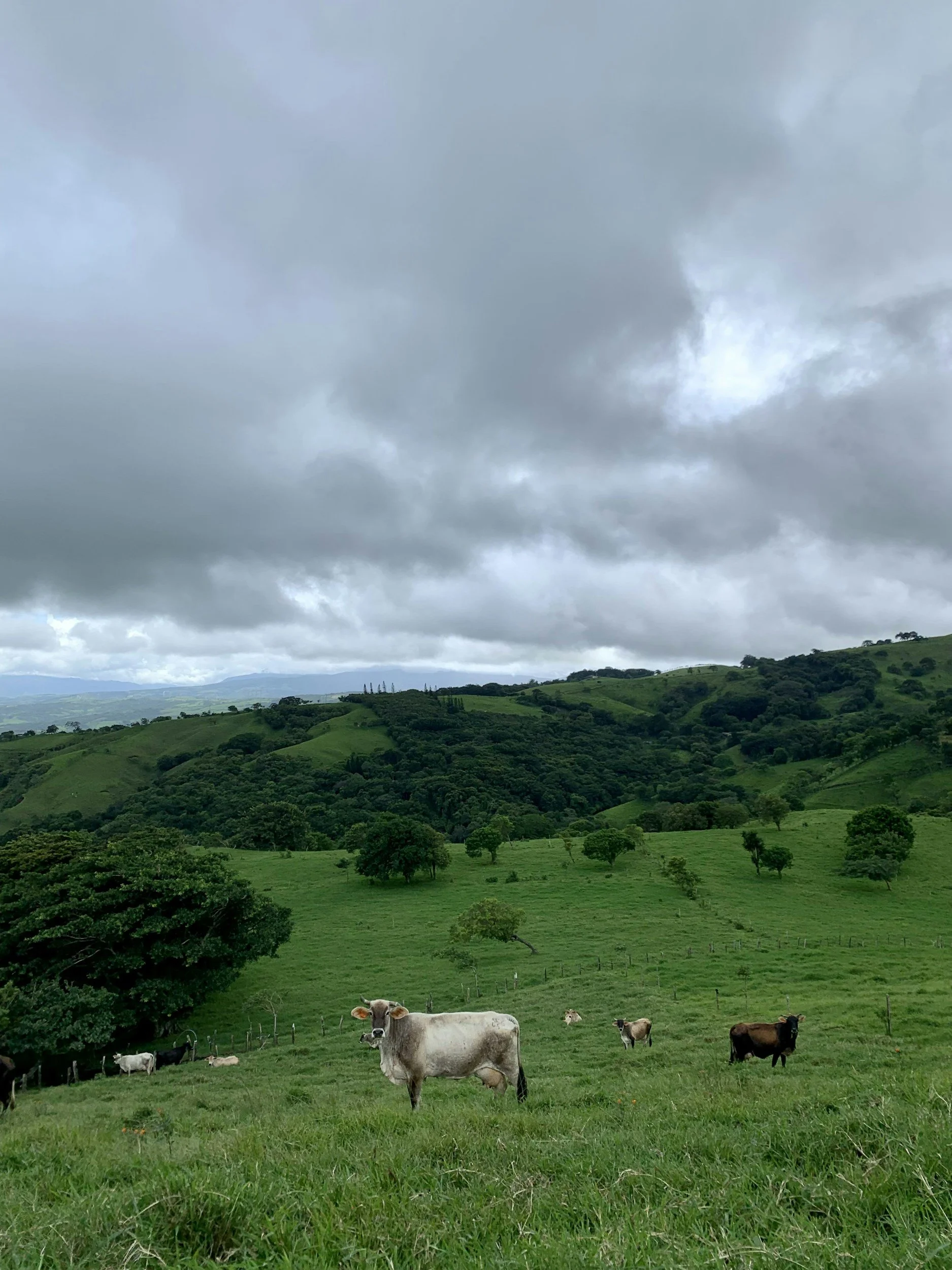A Look at Challenges for Costa Rica’s Family Farms