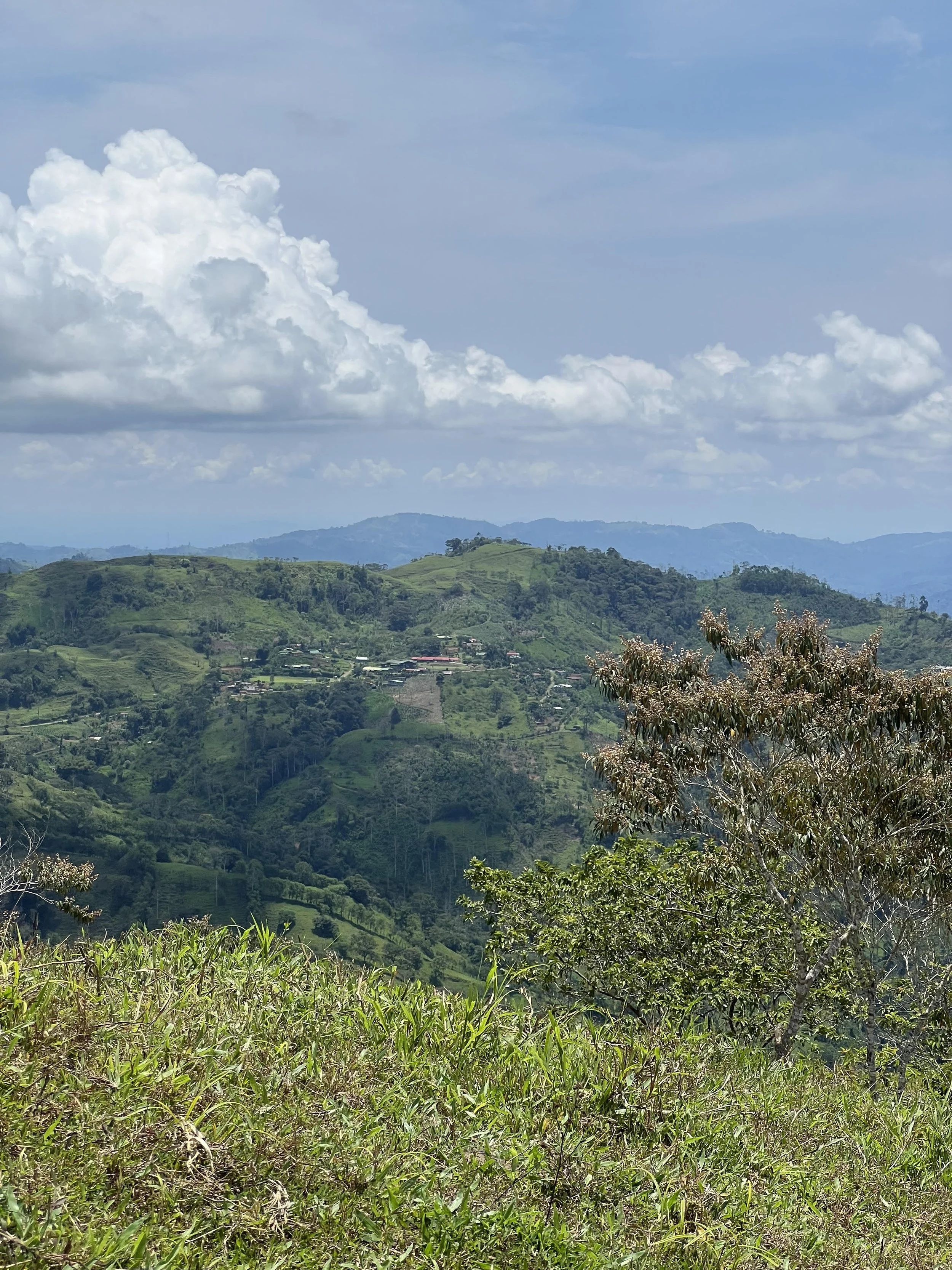 De las fincas a las ciudades, por qué la juventud costarricense está dejando la agricultura