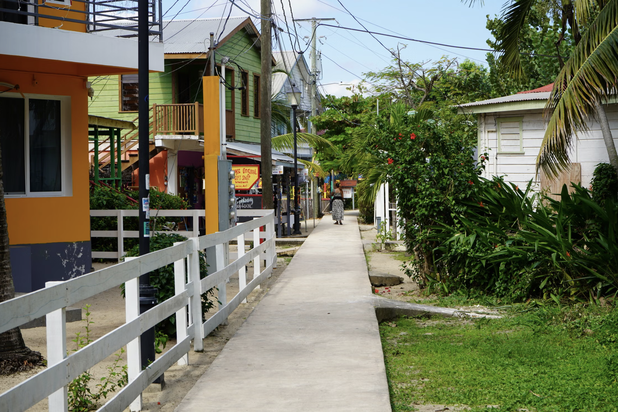 The Distribution of Development in Belize’s Labor Market