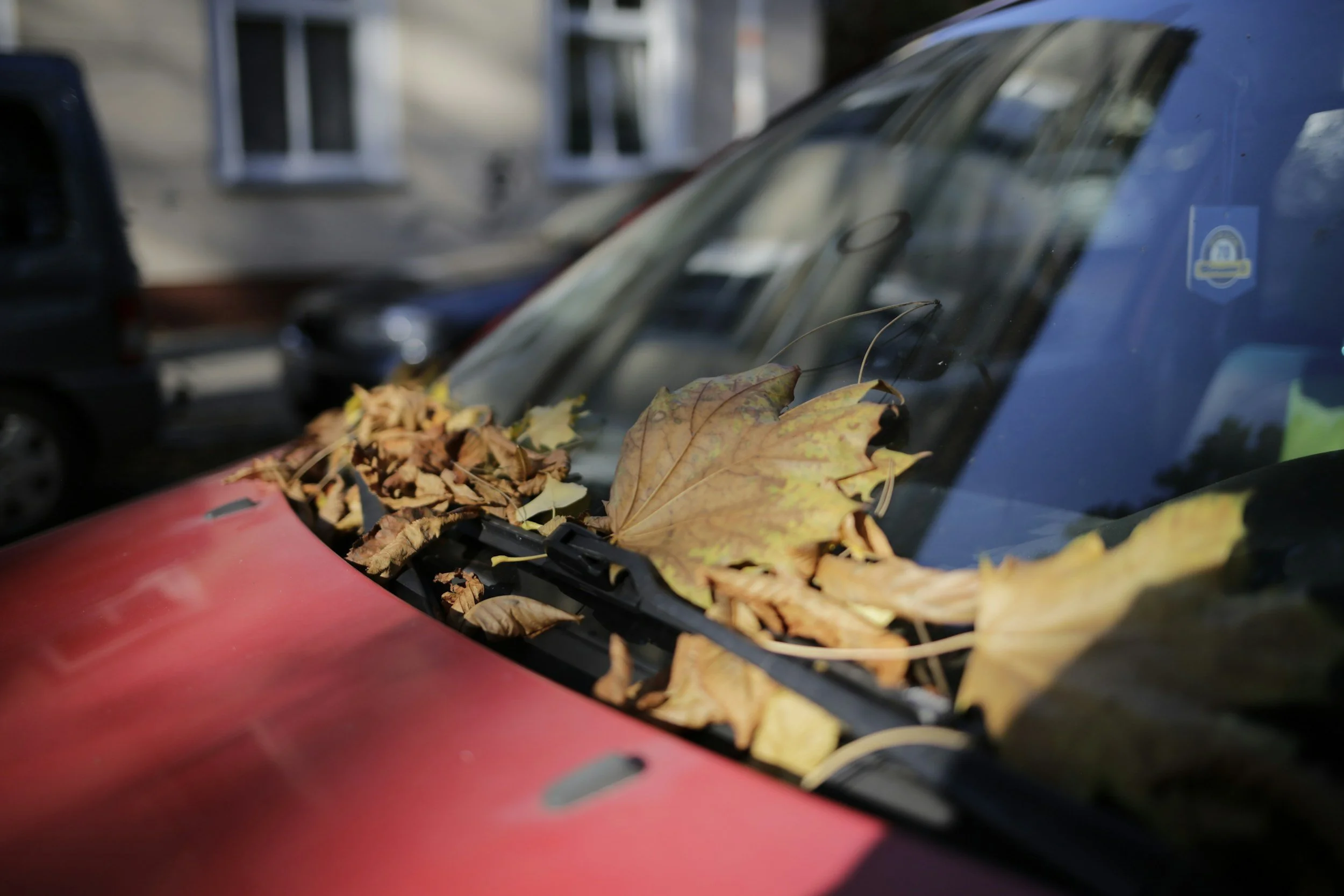 Fall Vehicle Maintenance Tips and Responsible Driver Checklist