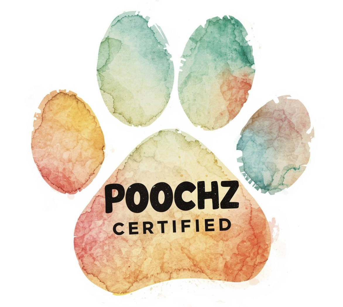 Image 1-31-26 at 9.48 PM.png