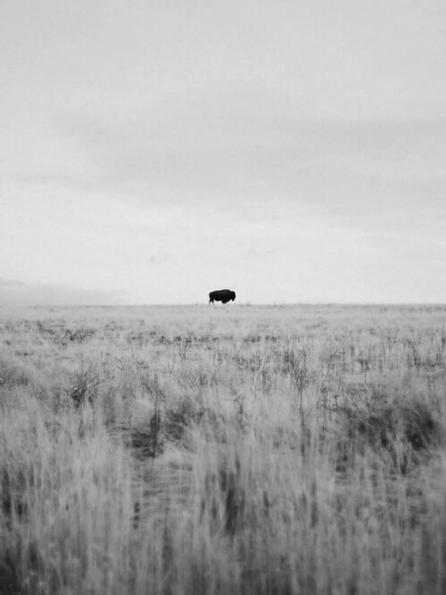 Photographer Unknown.