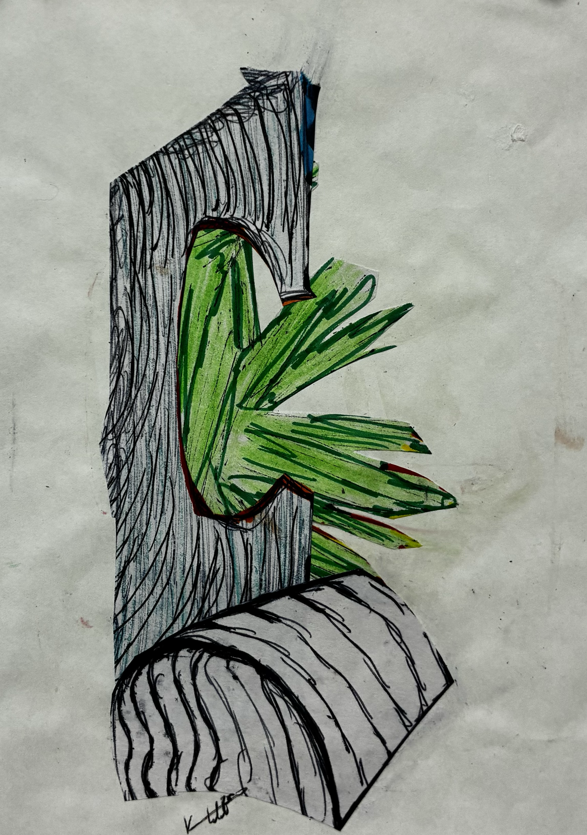 tree and a bush, 2025