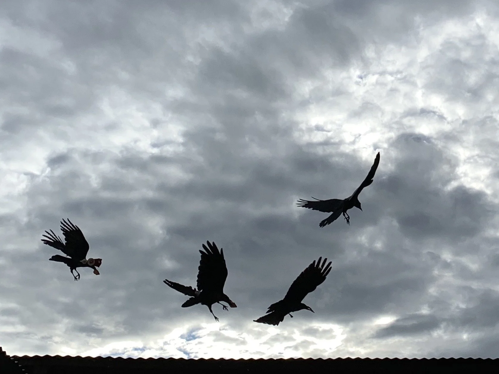 Working with Emotional Pain