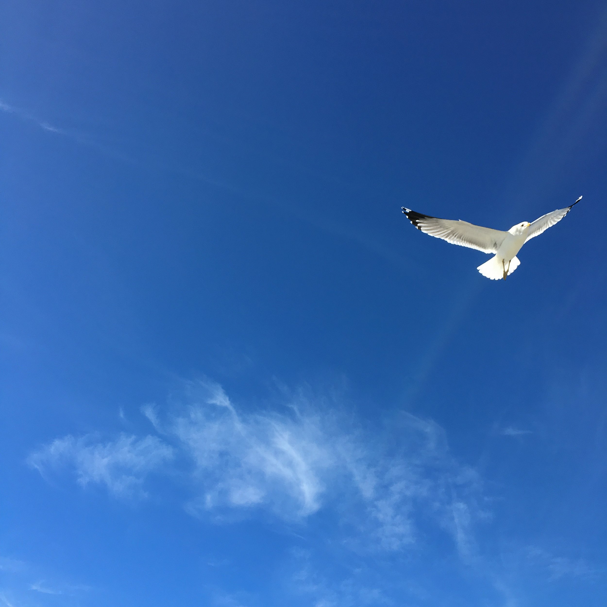 Why Find the Sacred?