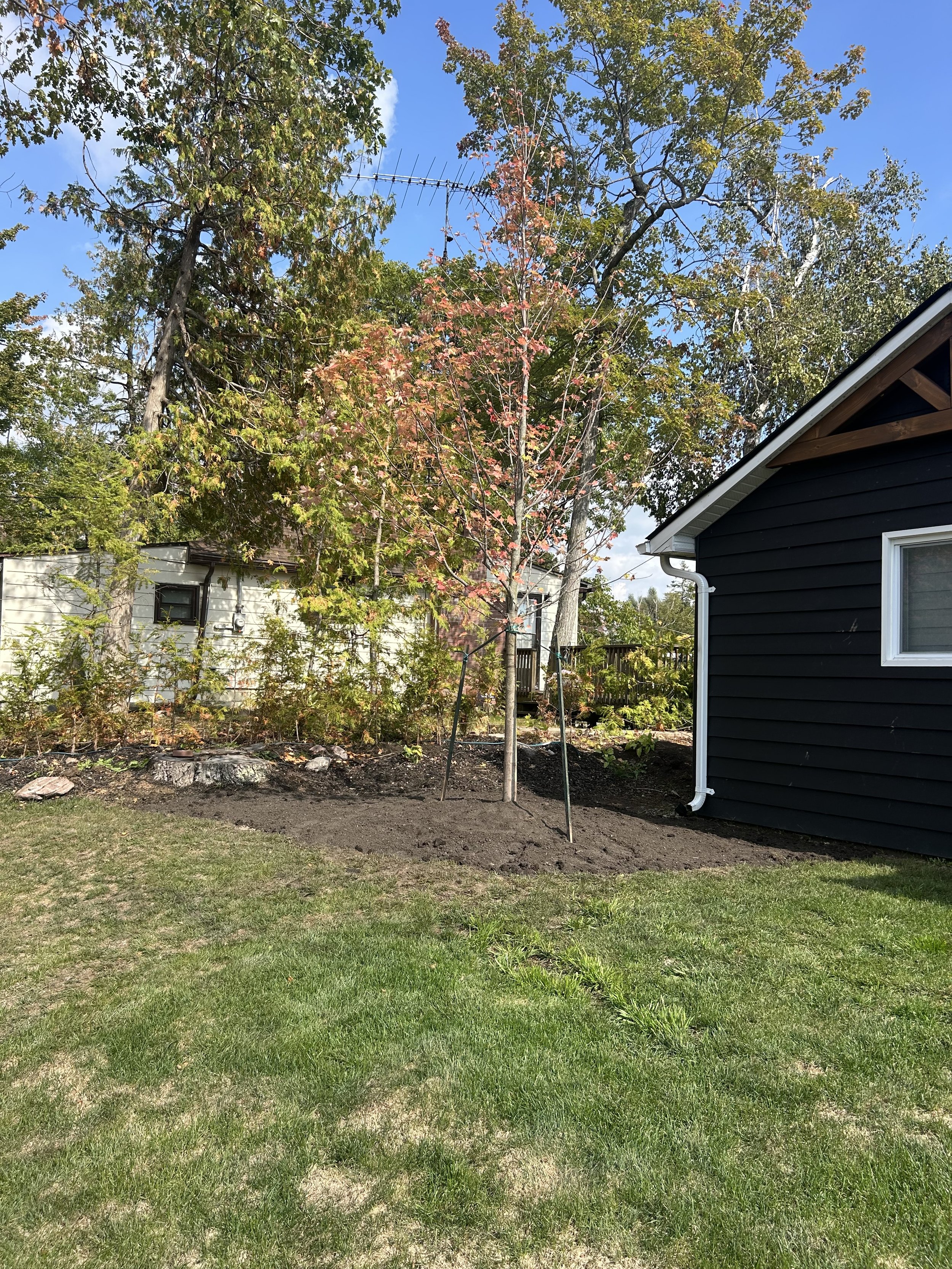 Tree Planting &amp; Flower Bed