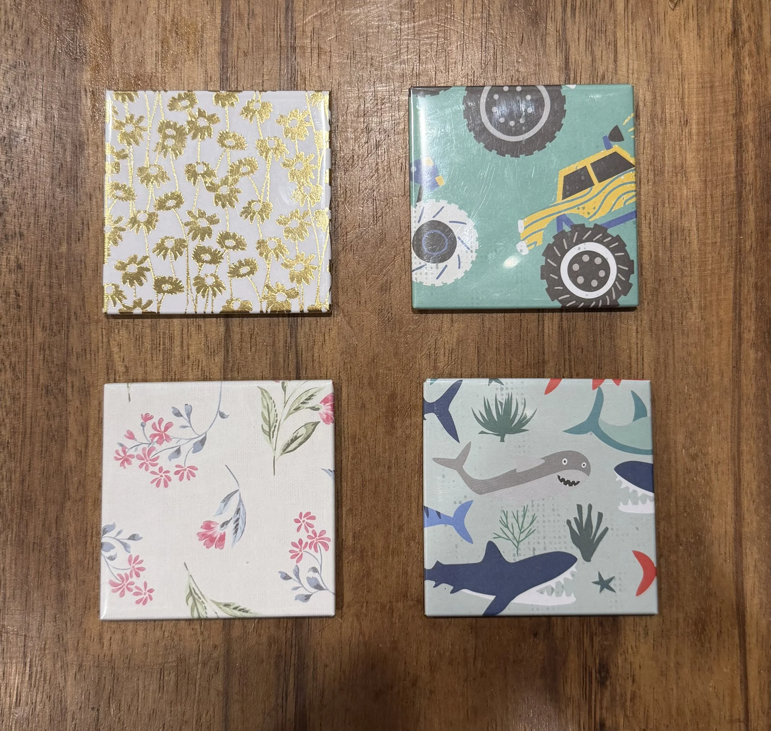 2.5x2.5 Photo Magnet set of 6