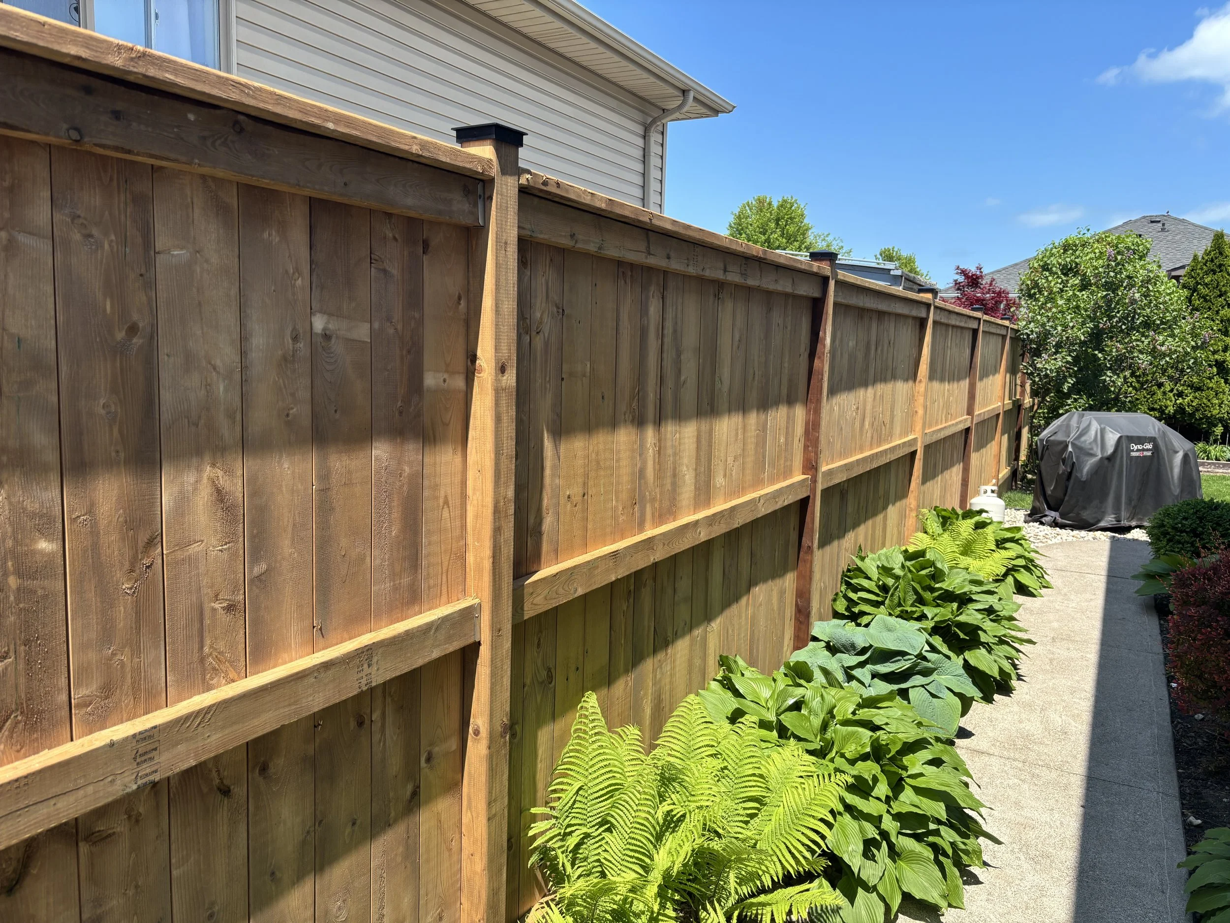 A wooden privacy fence next to a concrete sidewalk, with green plants and a covered barbecue grill on the side.
