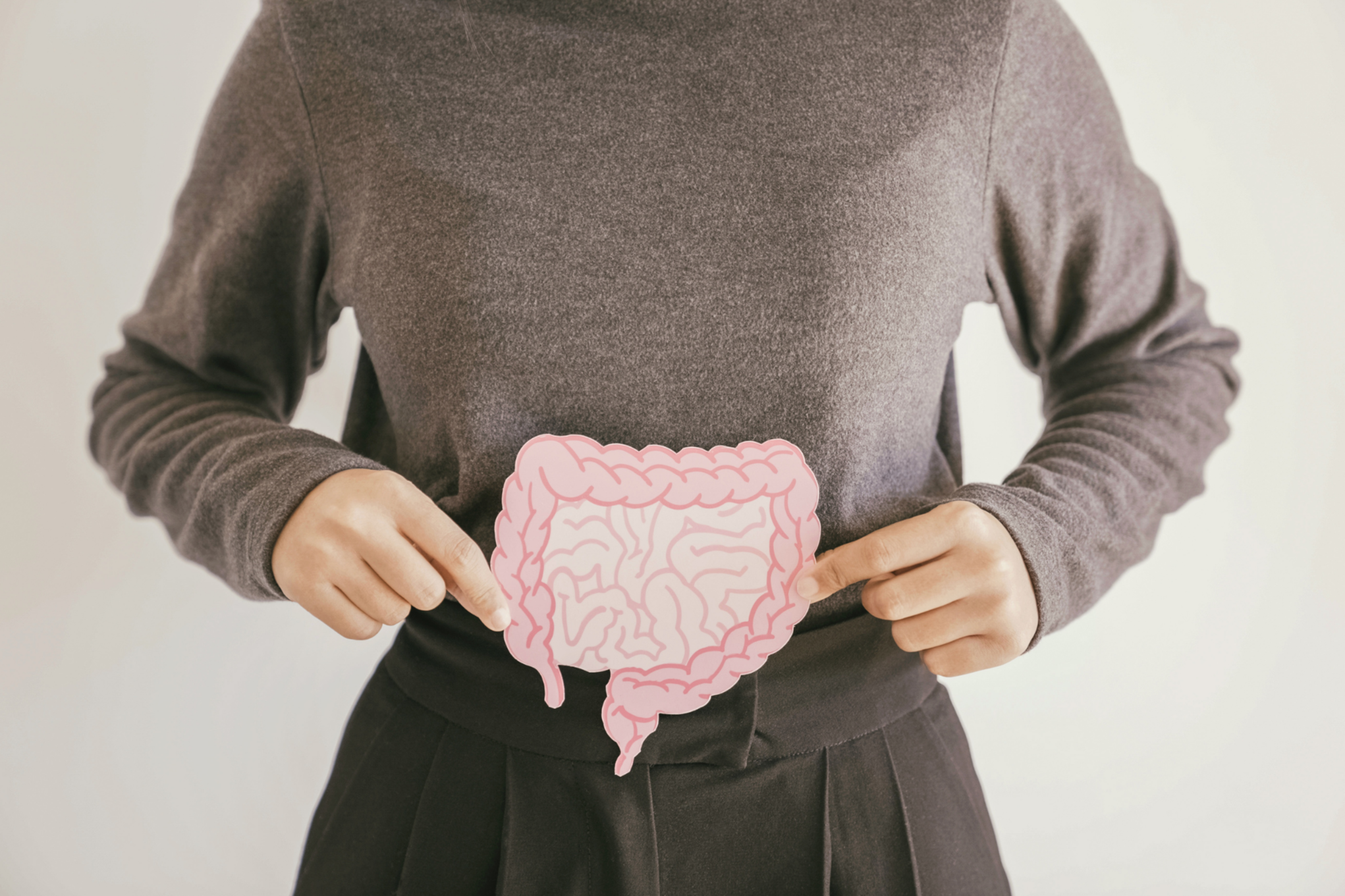 A person holding a pink paper cutout of the human intestine against their stomach, on a white studio background.