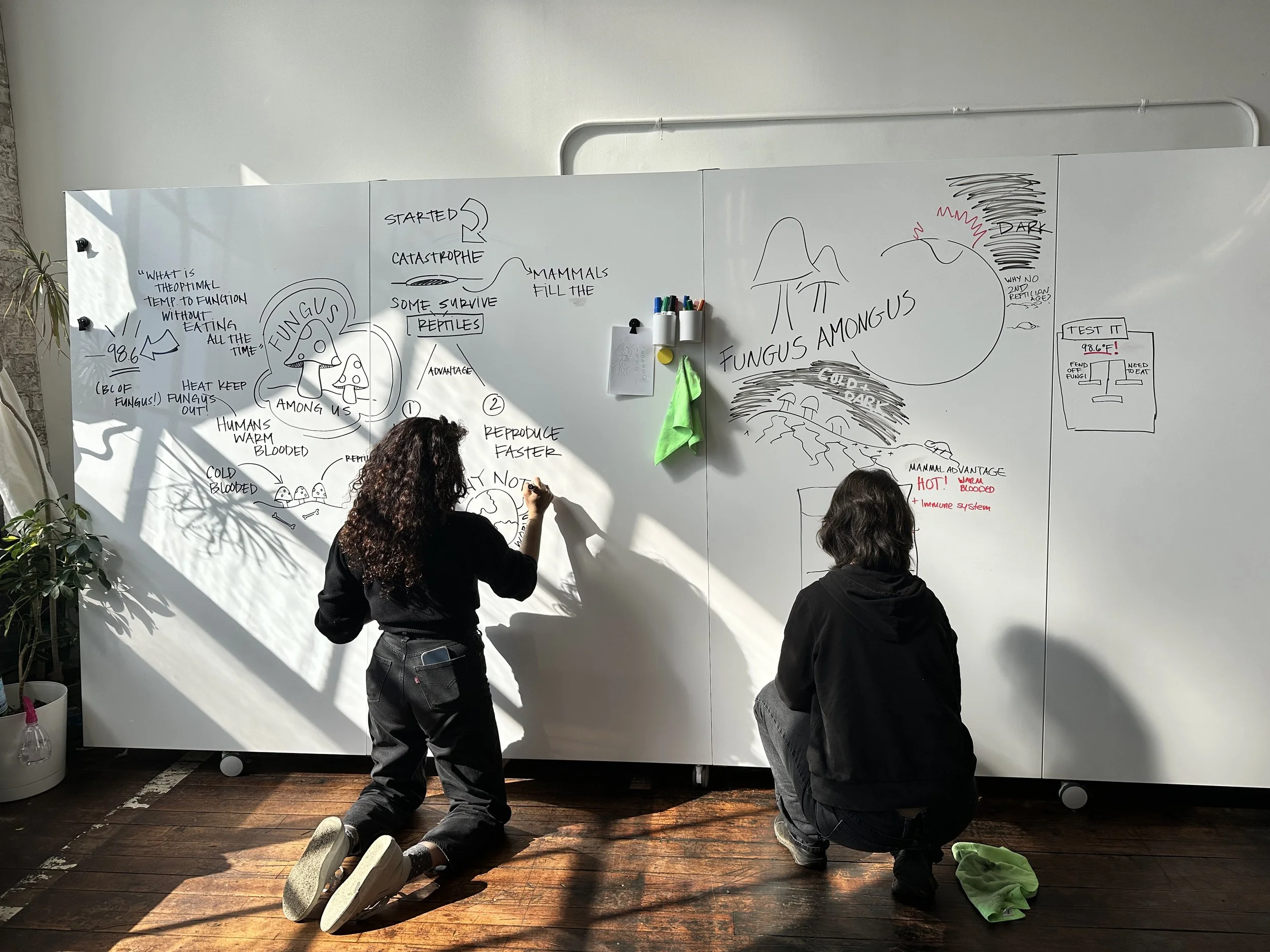 Two people drawing diagrams and notes on a large whiteboard in a well-lit room, with a plant on the left side and shadows cast across the wooden floor.