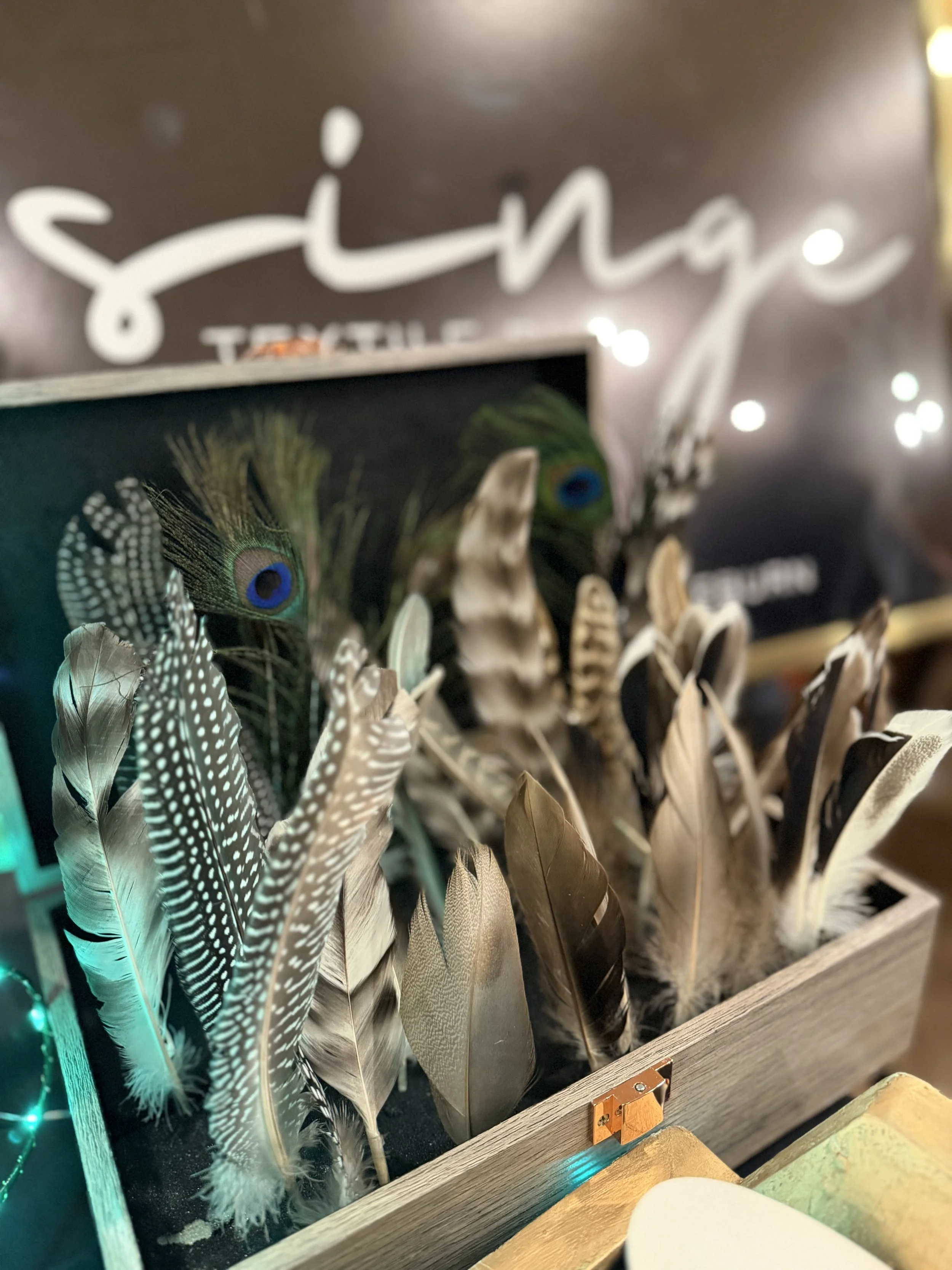 Colorful feathers displayed in a wooden box with a sign that reads 'singe' in the background.