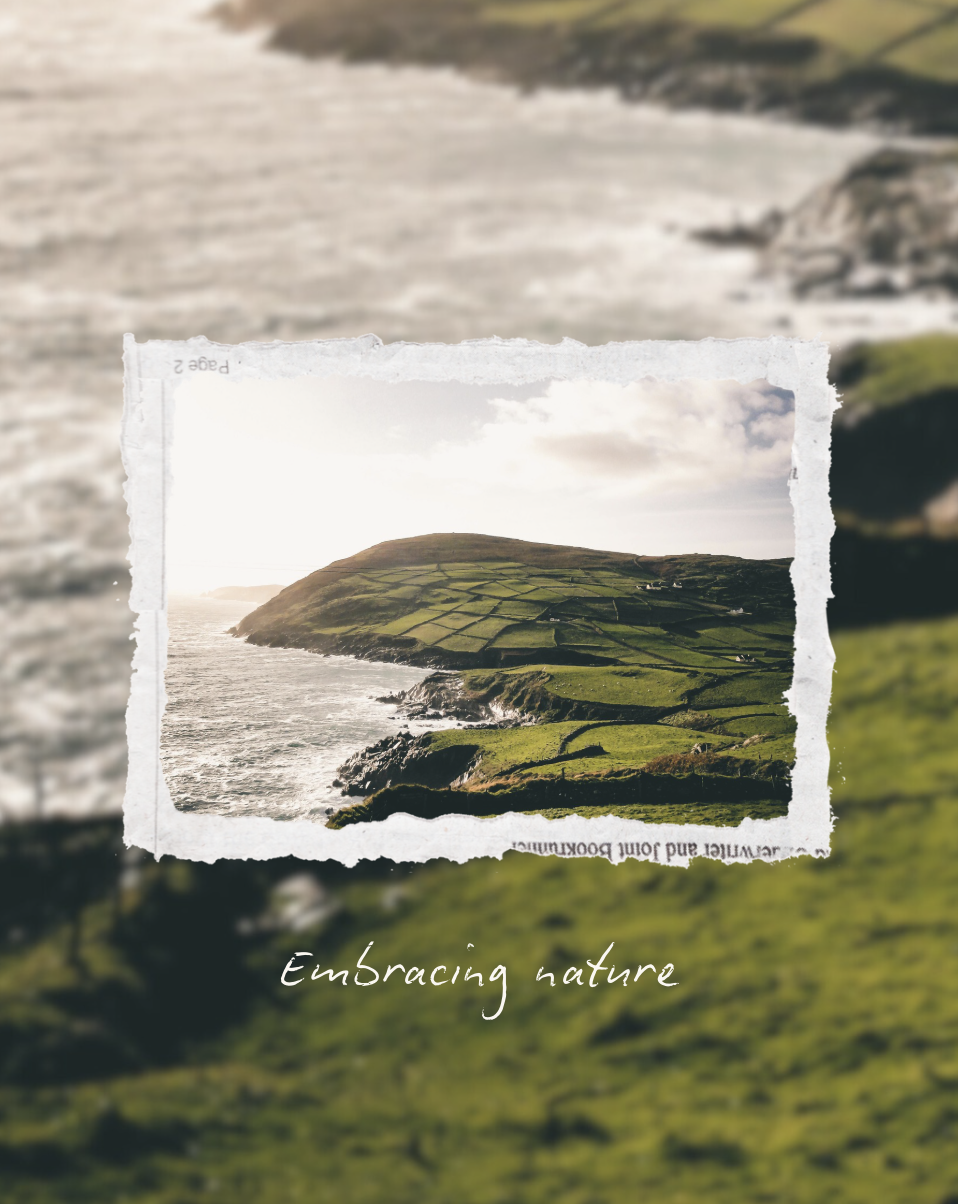 Screenshot 2026-01-29 at 18.07.21.png