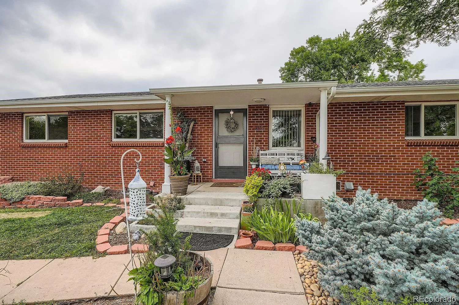 Gray St- Front yard 1.webp