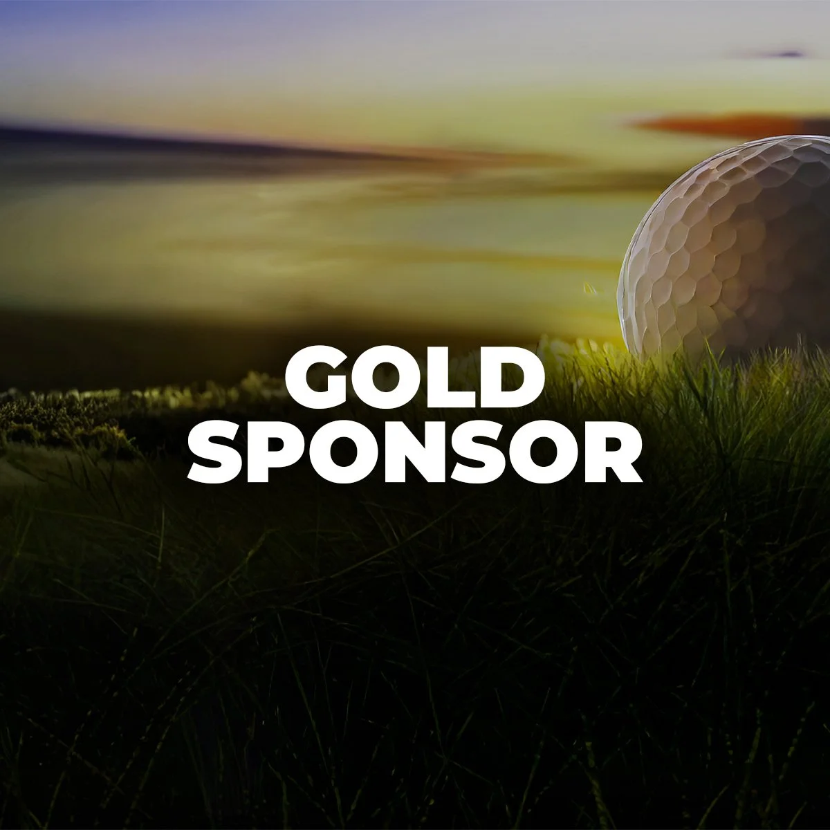 GOLD SPONSOR
