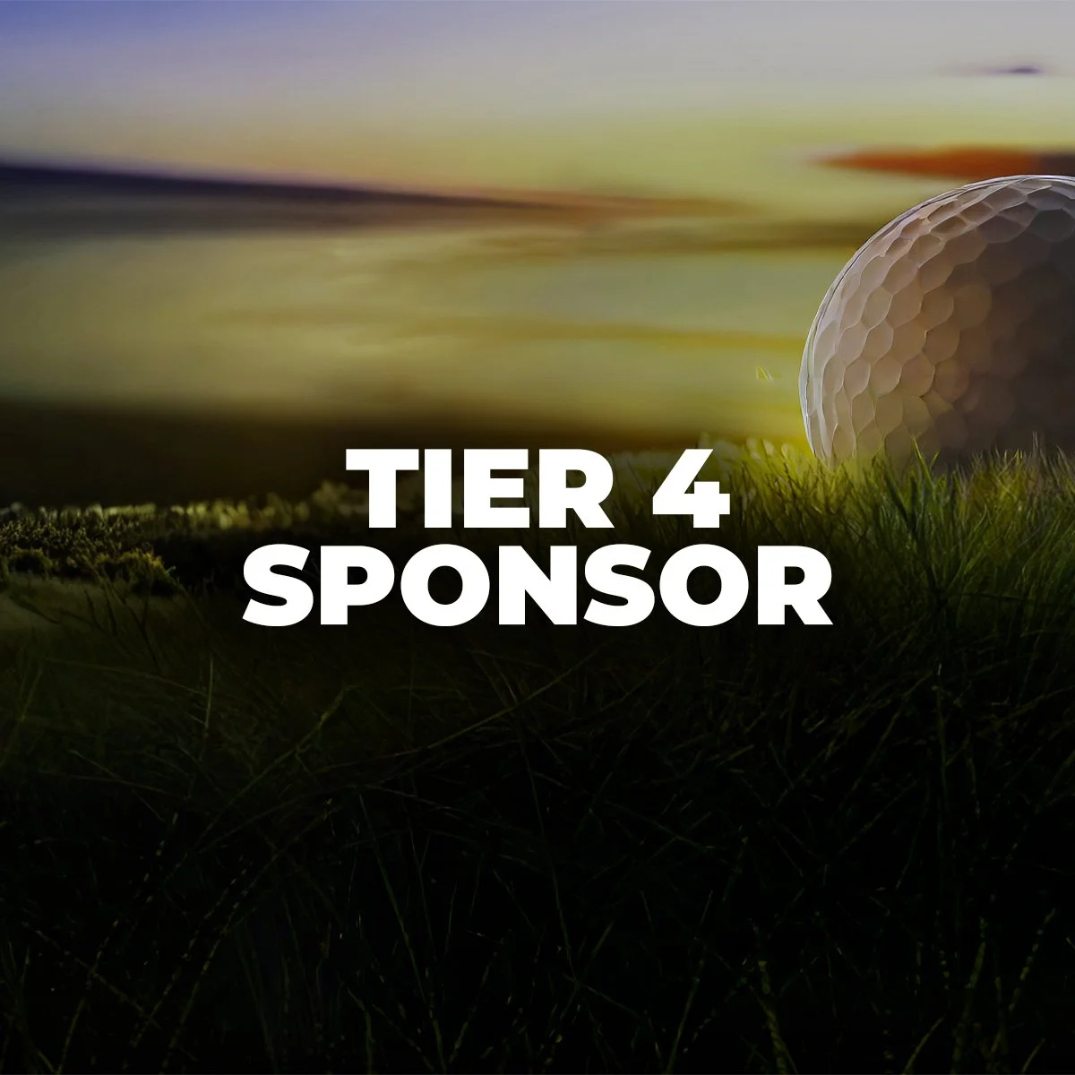 TIER 4 SPONSOR