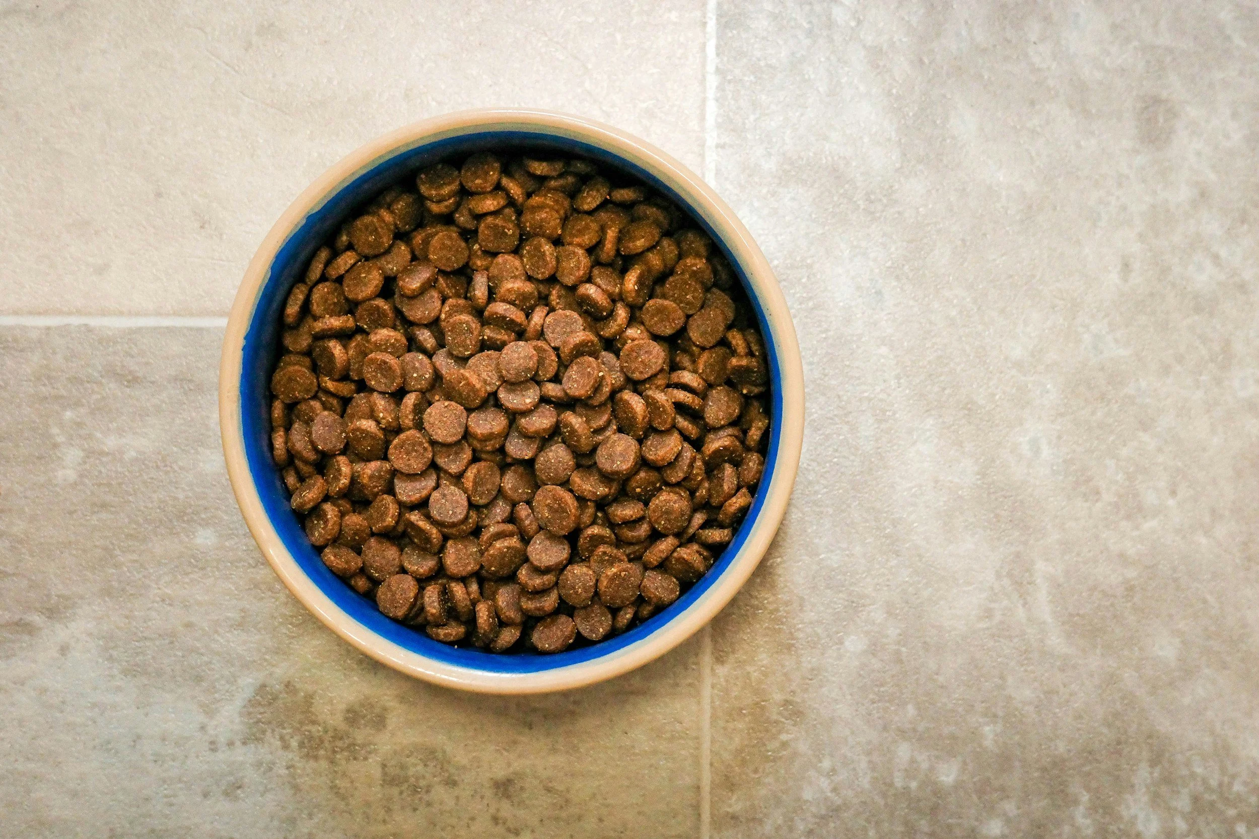 A bowl of dry pet food or kibble on a tiled floor.