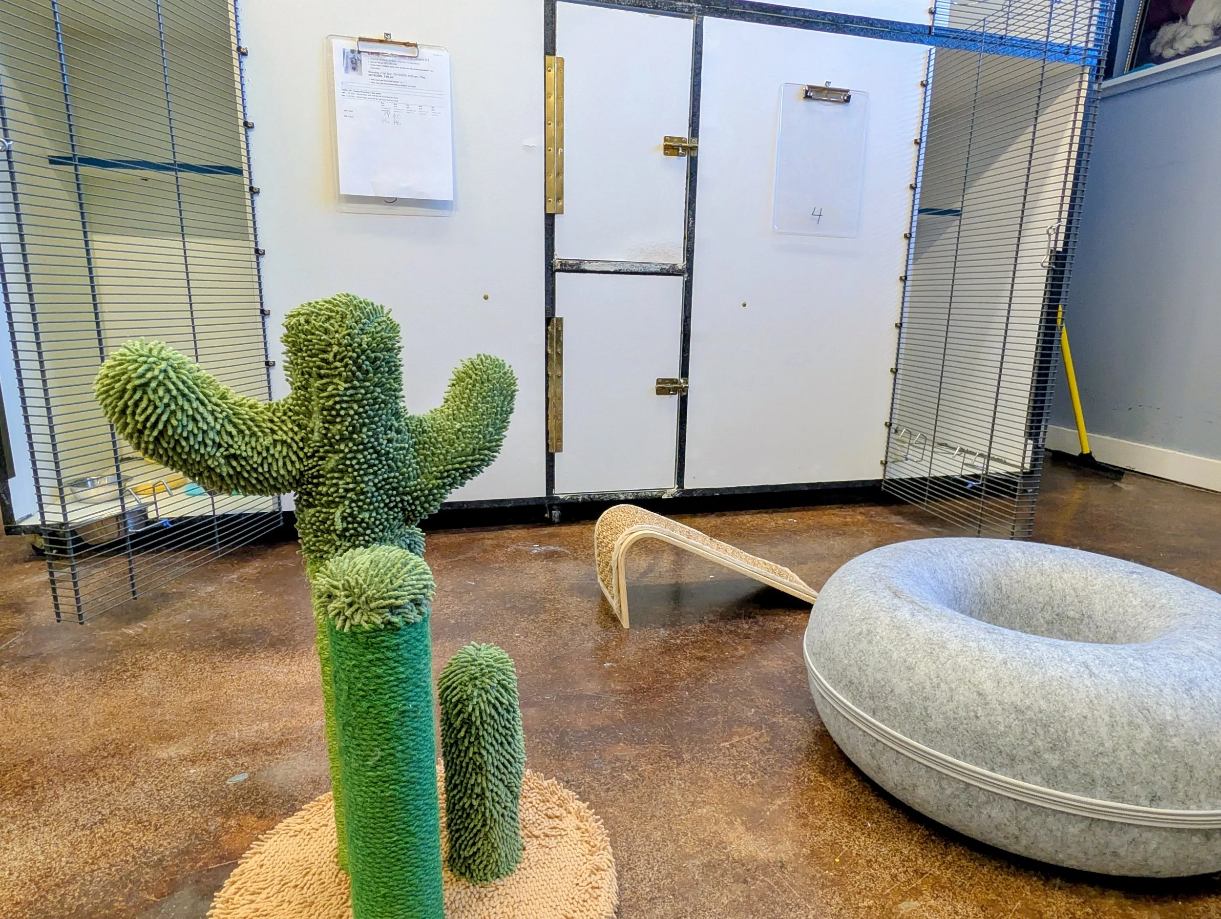 A green plush cactus scratch toy displayed among other plush toys, situated in front of a white and black cabinet with documents attached, with metal wire shelving on both sides and a gray cushioned chair nearby.