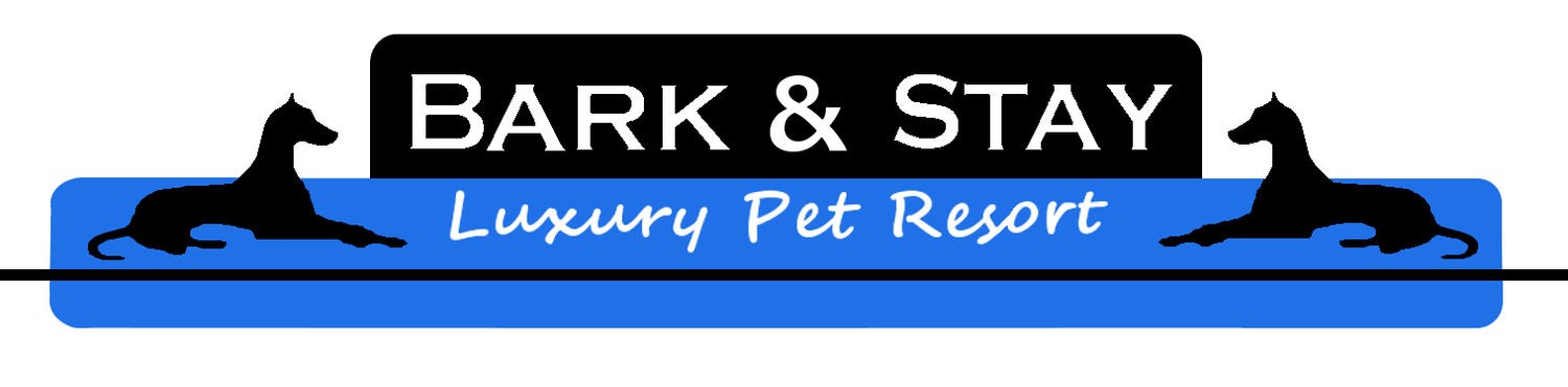 Bark and Stay