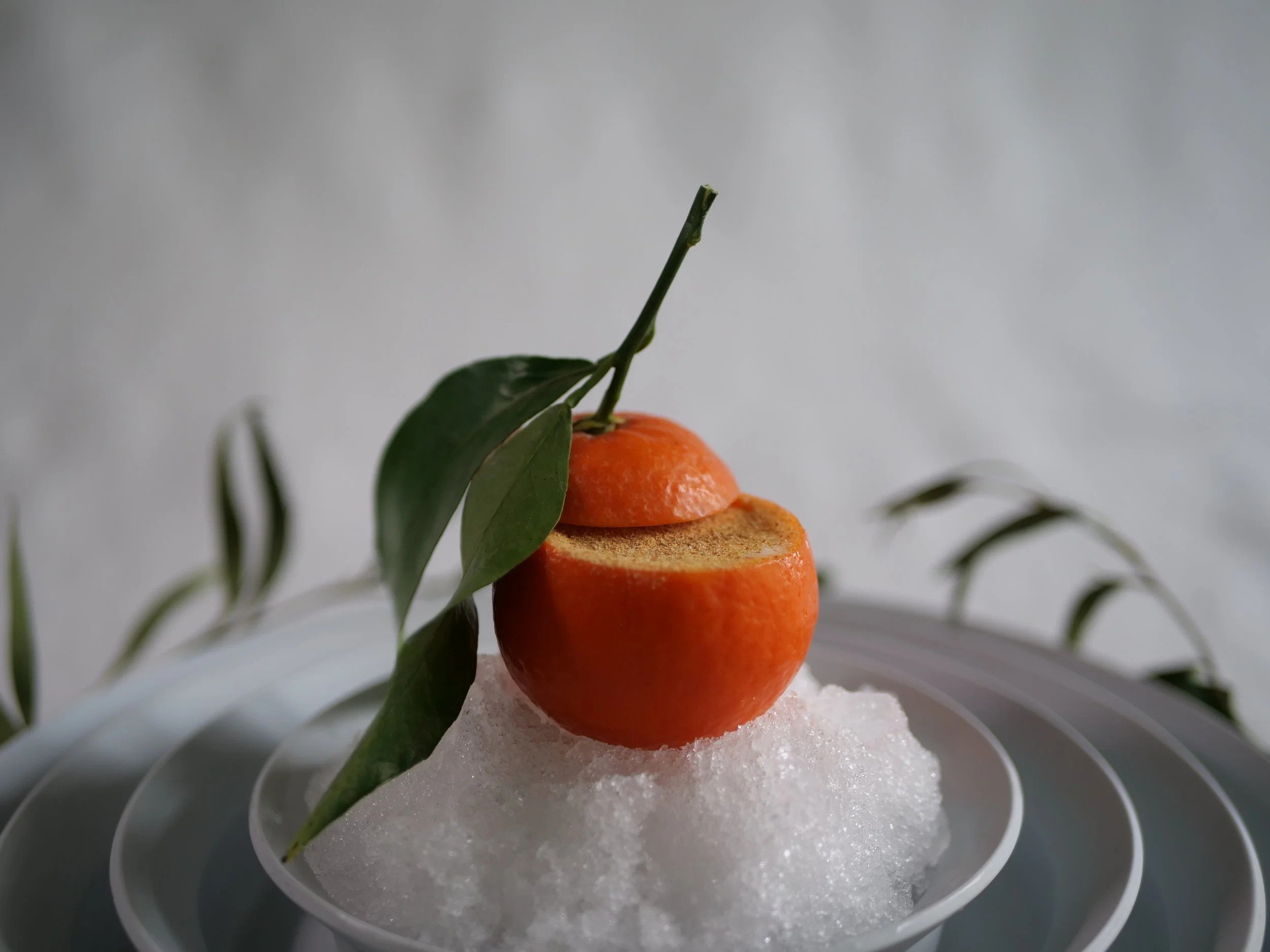 Satsuma mandarin ice cream 1.JPG