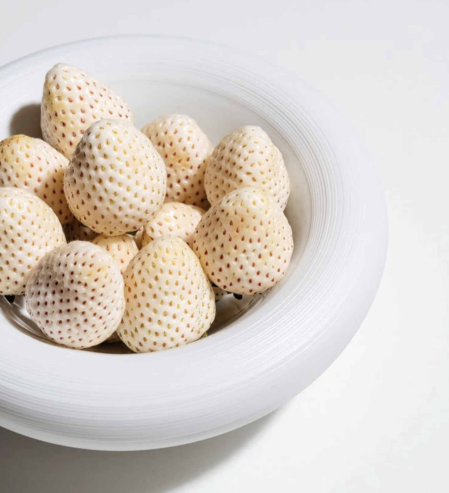 Screenshot 2026-02-20 at 9.28.24 PM.png