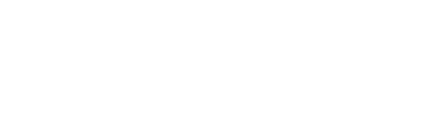 Fortis Technologies
