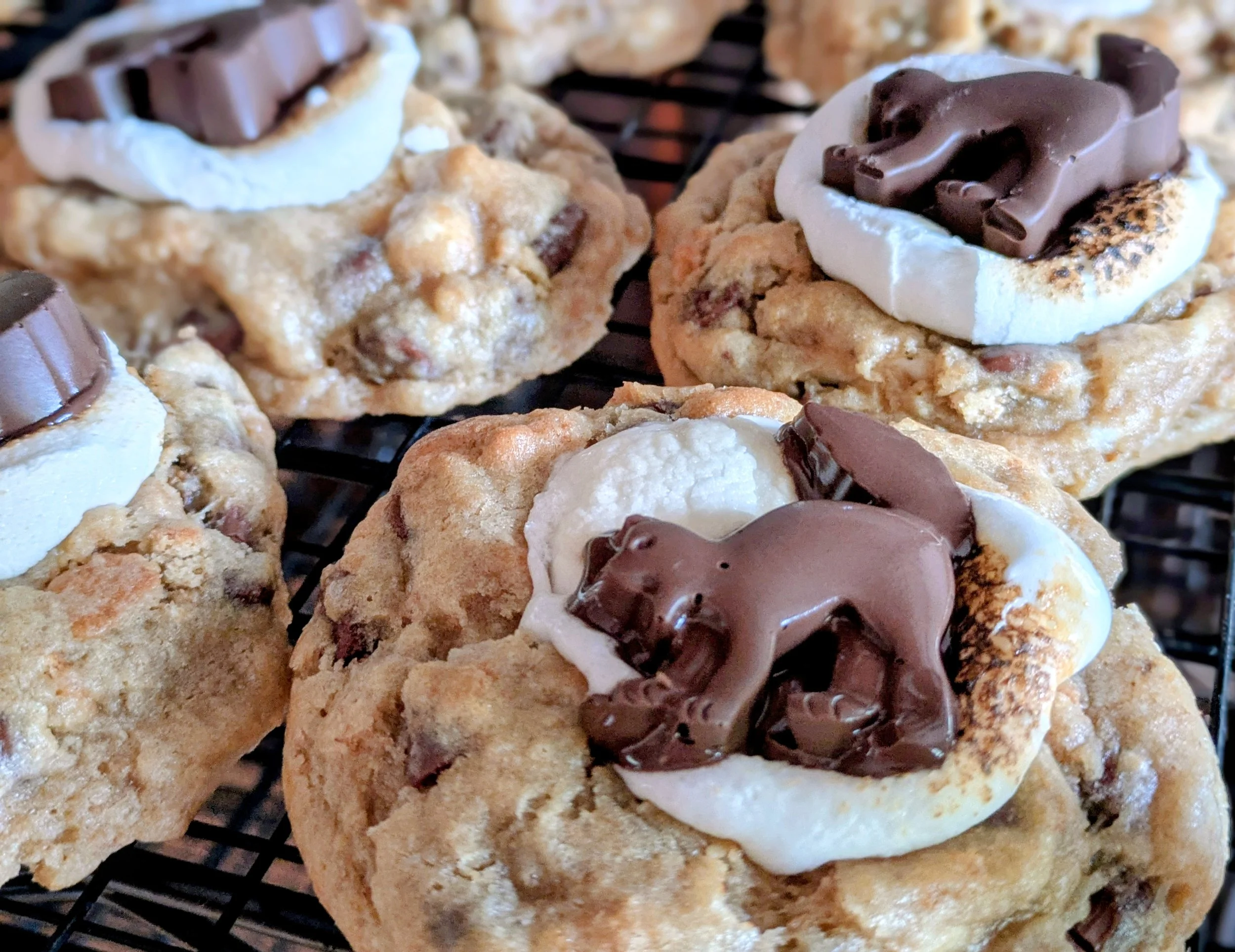 Toasted S'mores