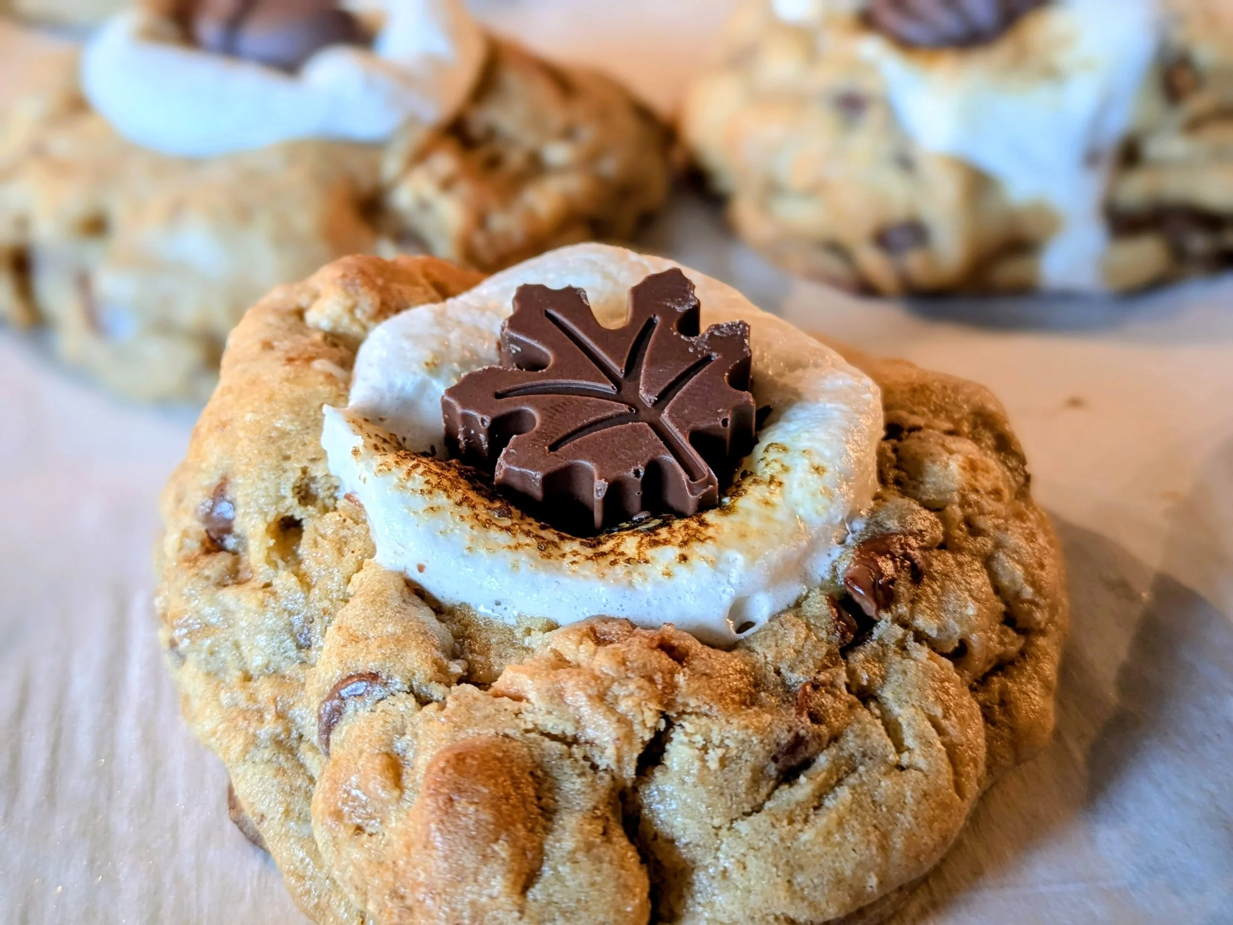 Toasted S'mores