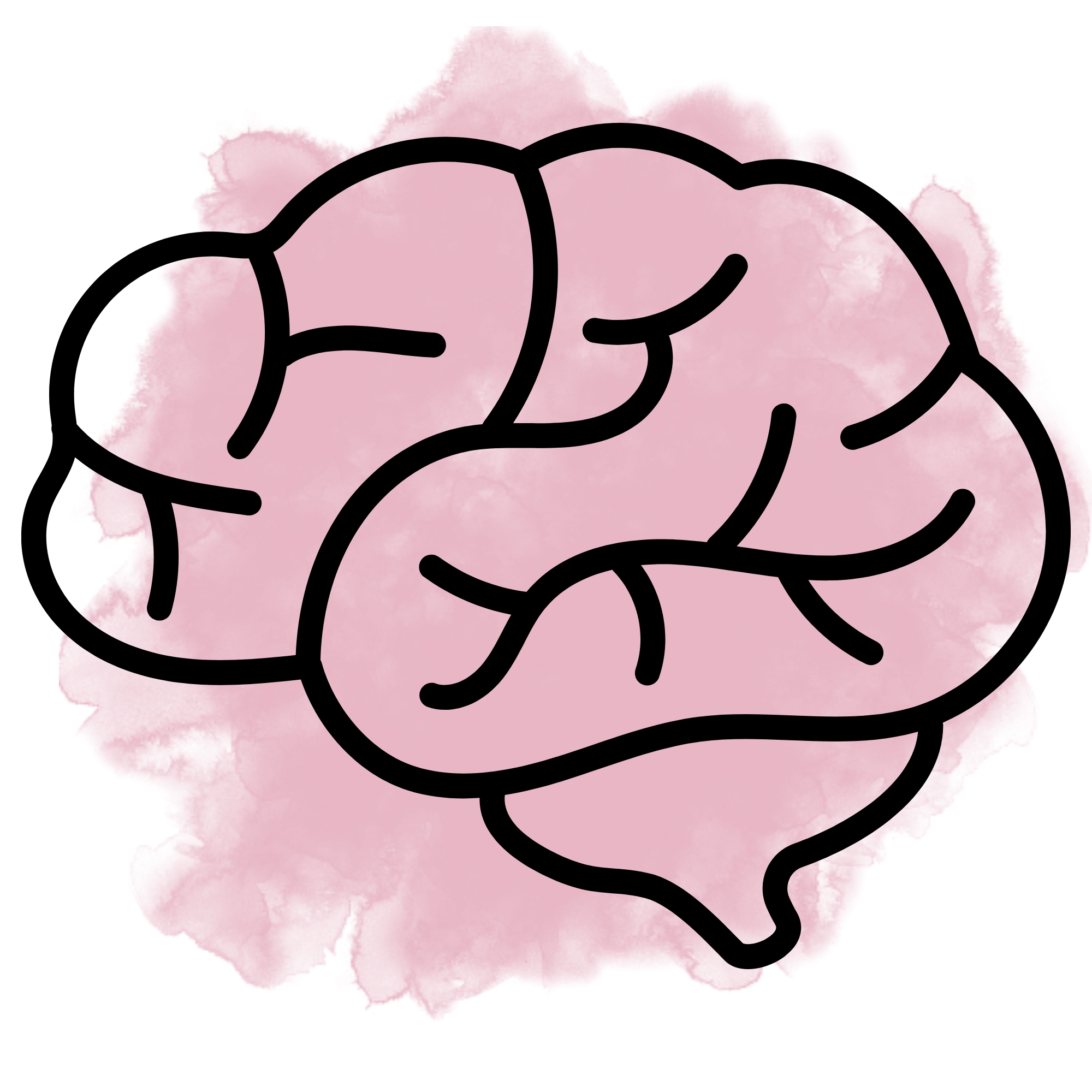 Services — Functional Focus ADHD Coaching